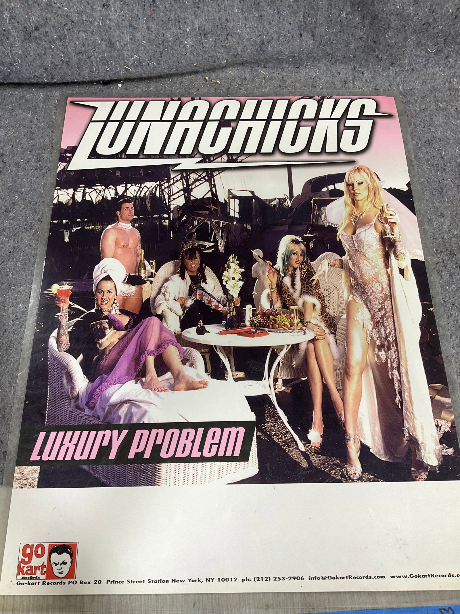 Lunachucks laminated print(19inx25in) (1 of 1)