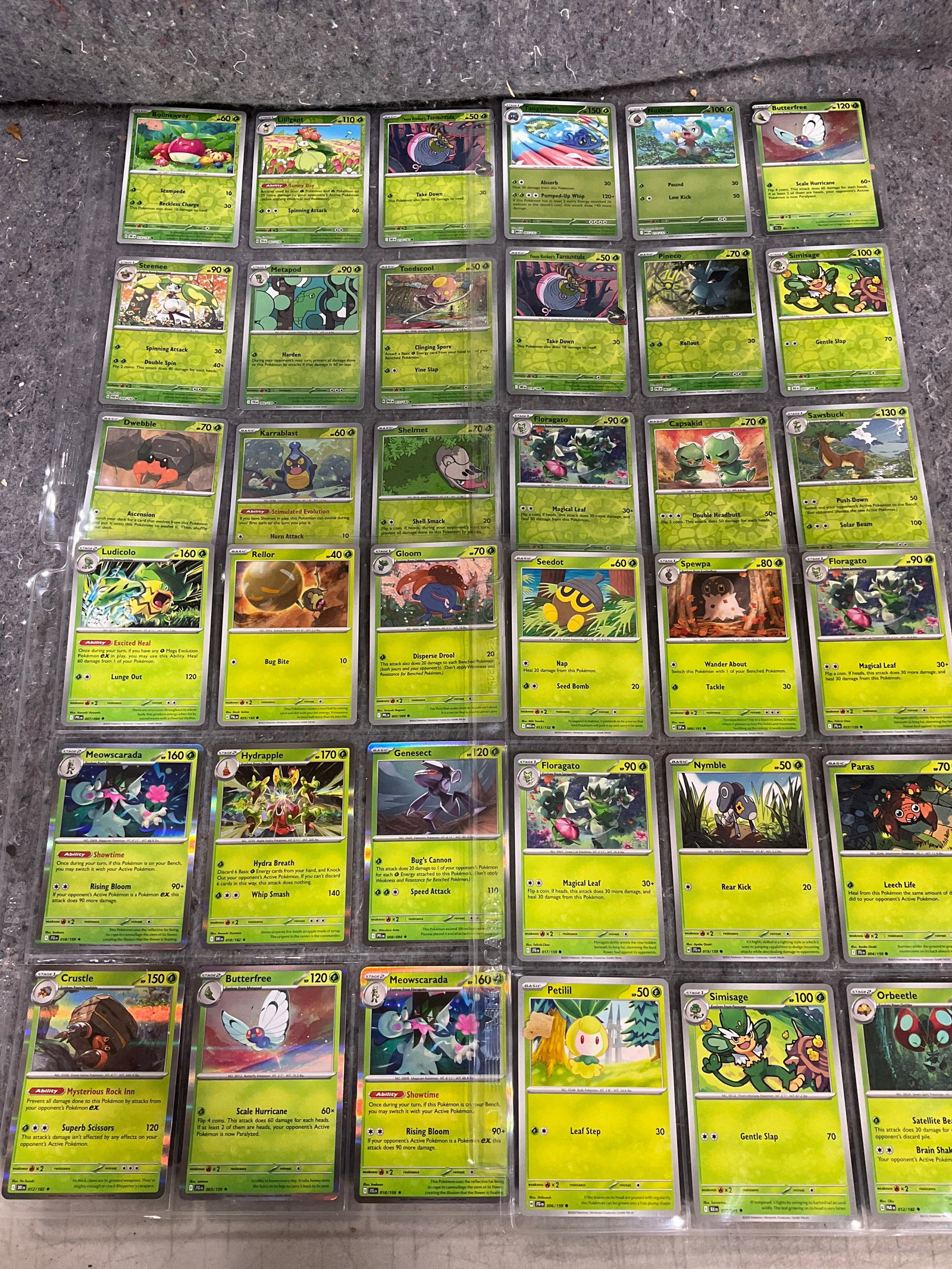 Various Pokemon cards in collector sheets: Various Pokemon cards in collector sheets