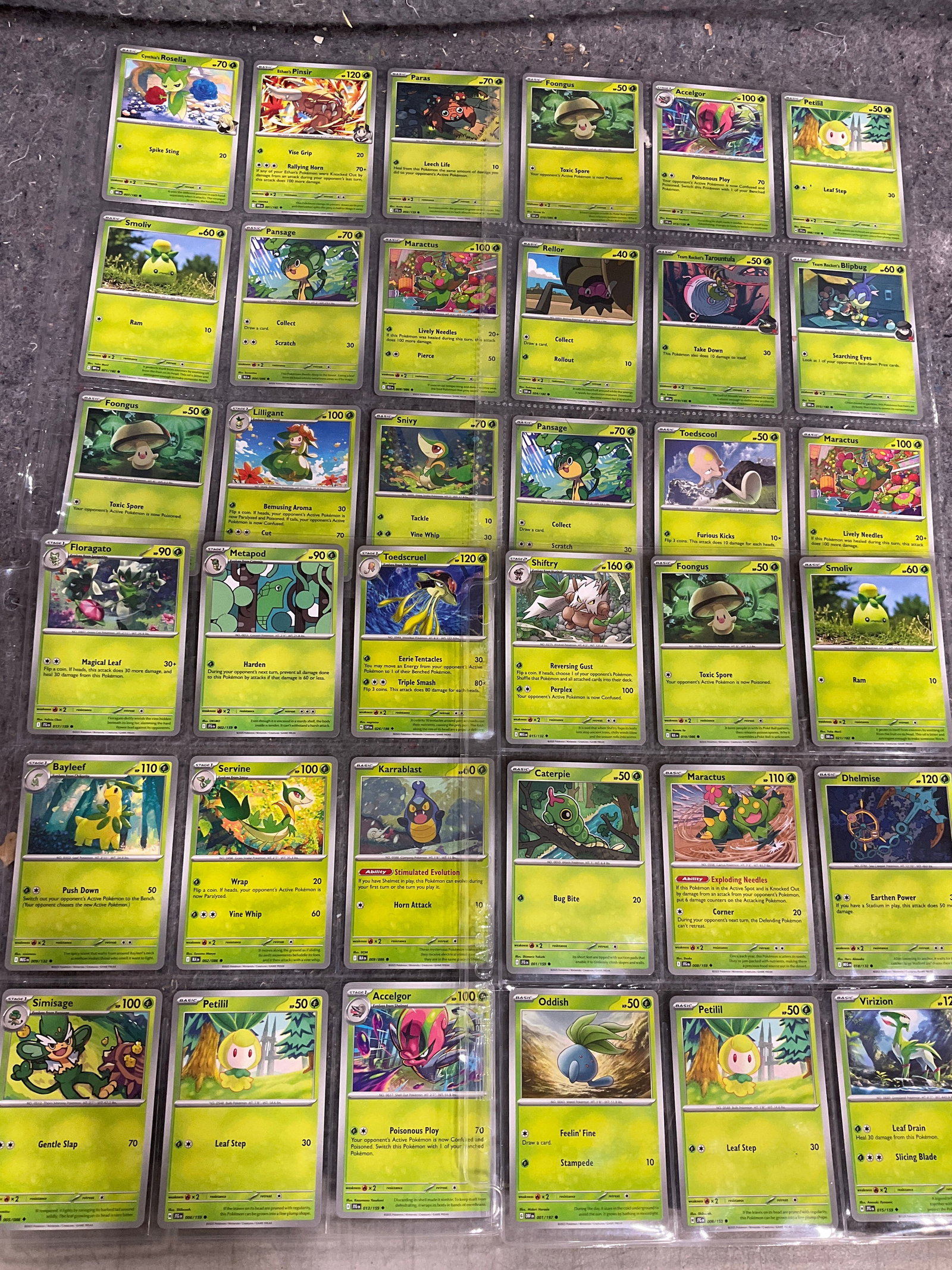 Various Pokemon cards in collector sheets: Various Pokemon cards in collector sheets