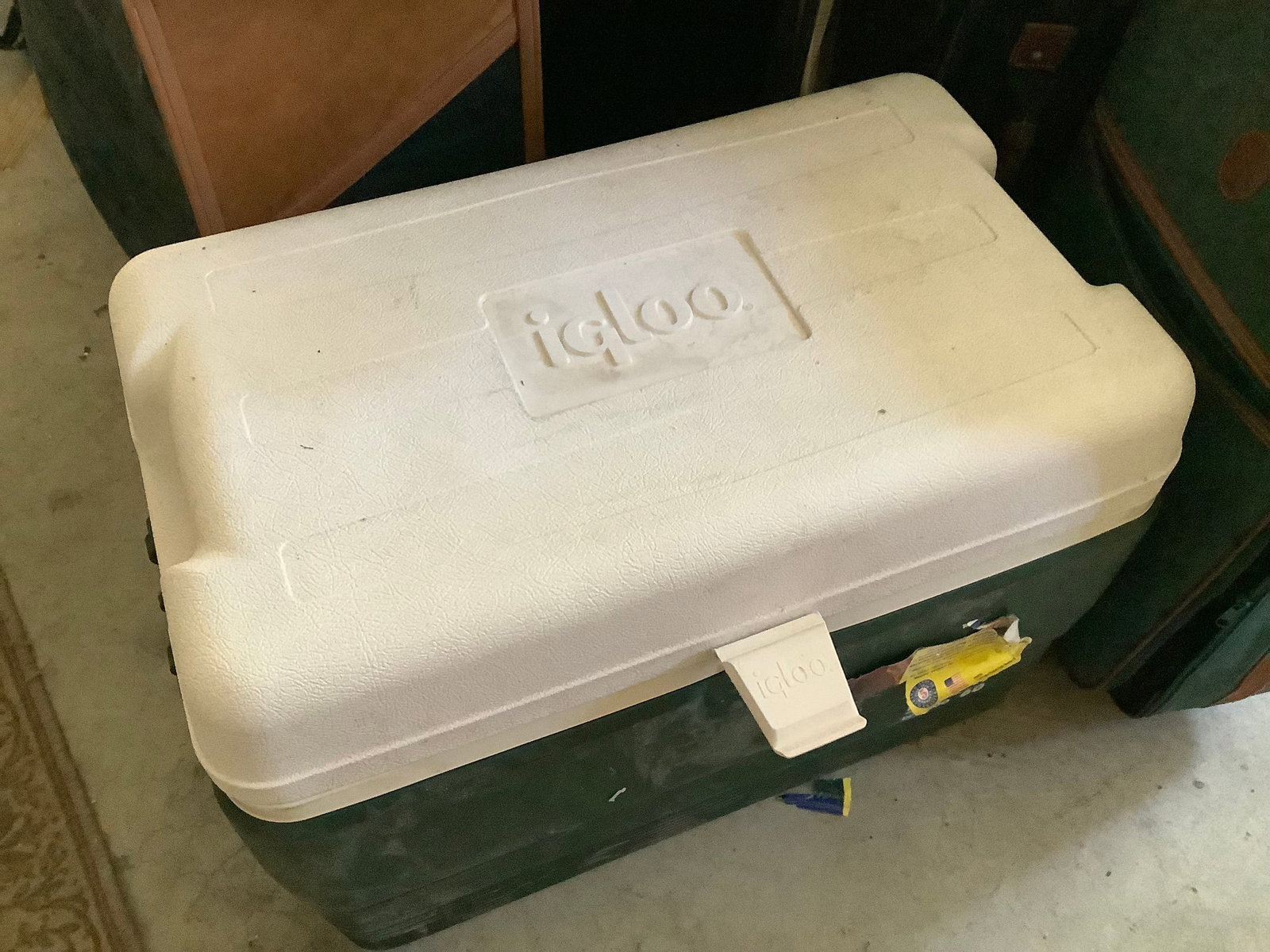Igloo cooler: Igloo cooler
