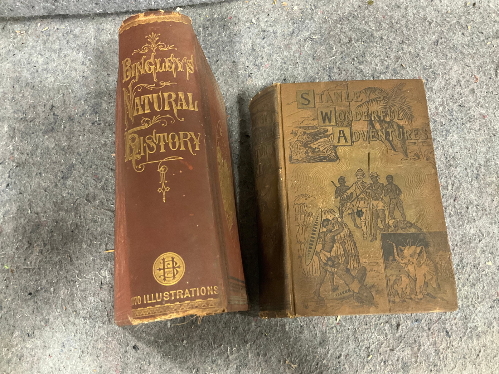 Vintage hardcover books(Stanleys Wonderful Adventures and Engley's natural history: Vintage hardcover books(Stanleys Wonderful Adventures and Engley's natural history