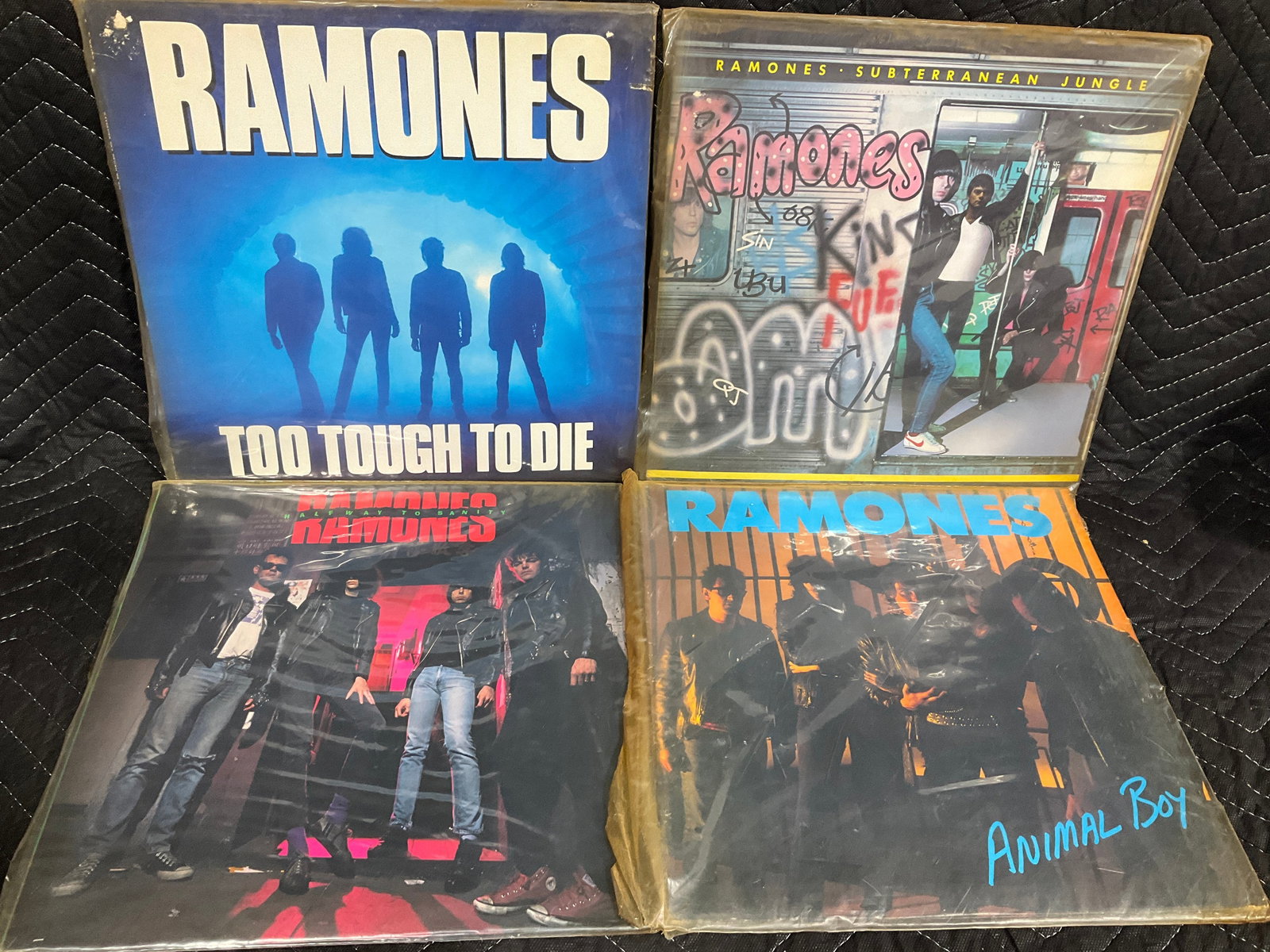 Vintage Ramones records (1 of 1)