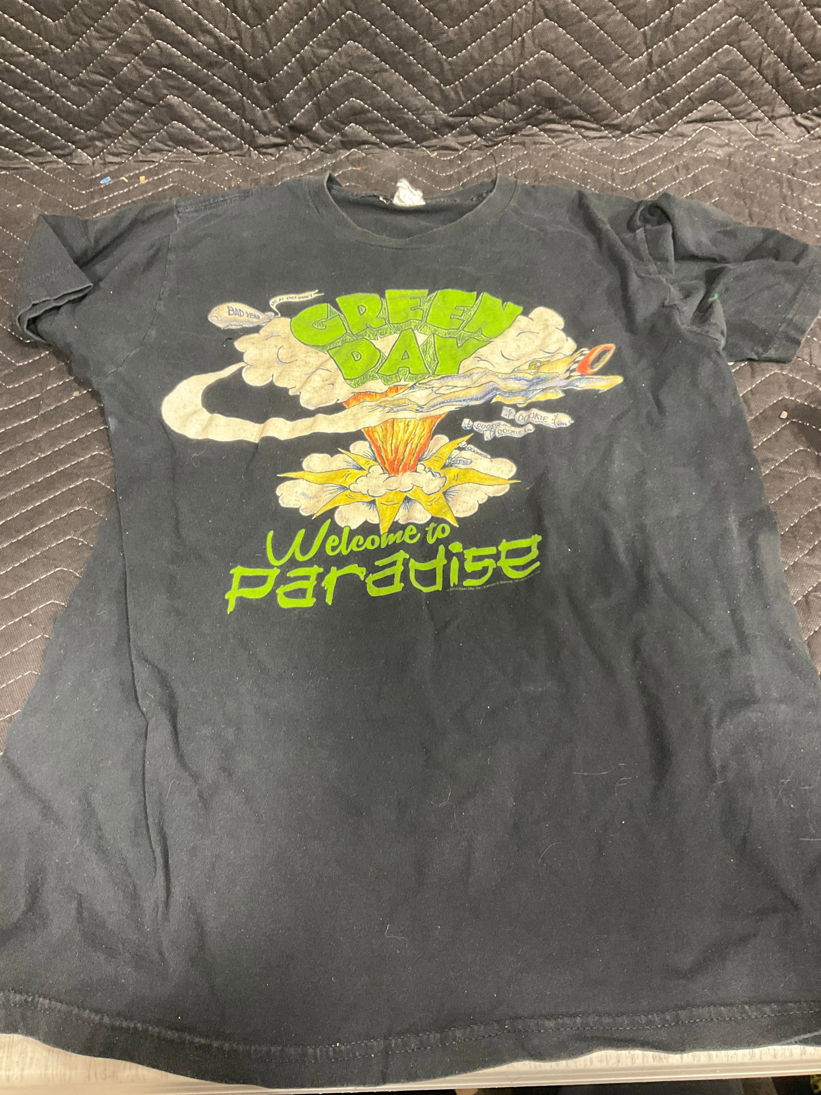 Vintage Green Day Welcome To Paradise Tshirt(size:L, small tear on right breast): Vintage Green Day Welcome To Paradise Tshirt(size:L, small tear on right breast)