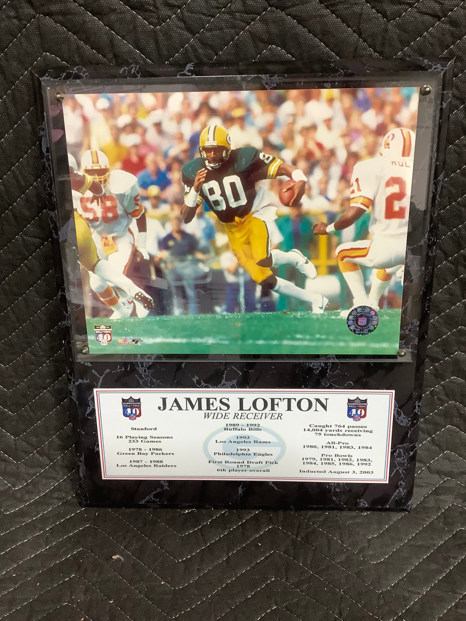 James Lofton Football Wall Plaque (12.5inx15in) (1 of 1)