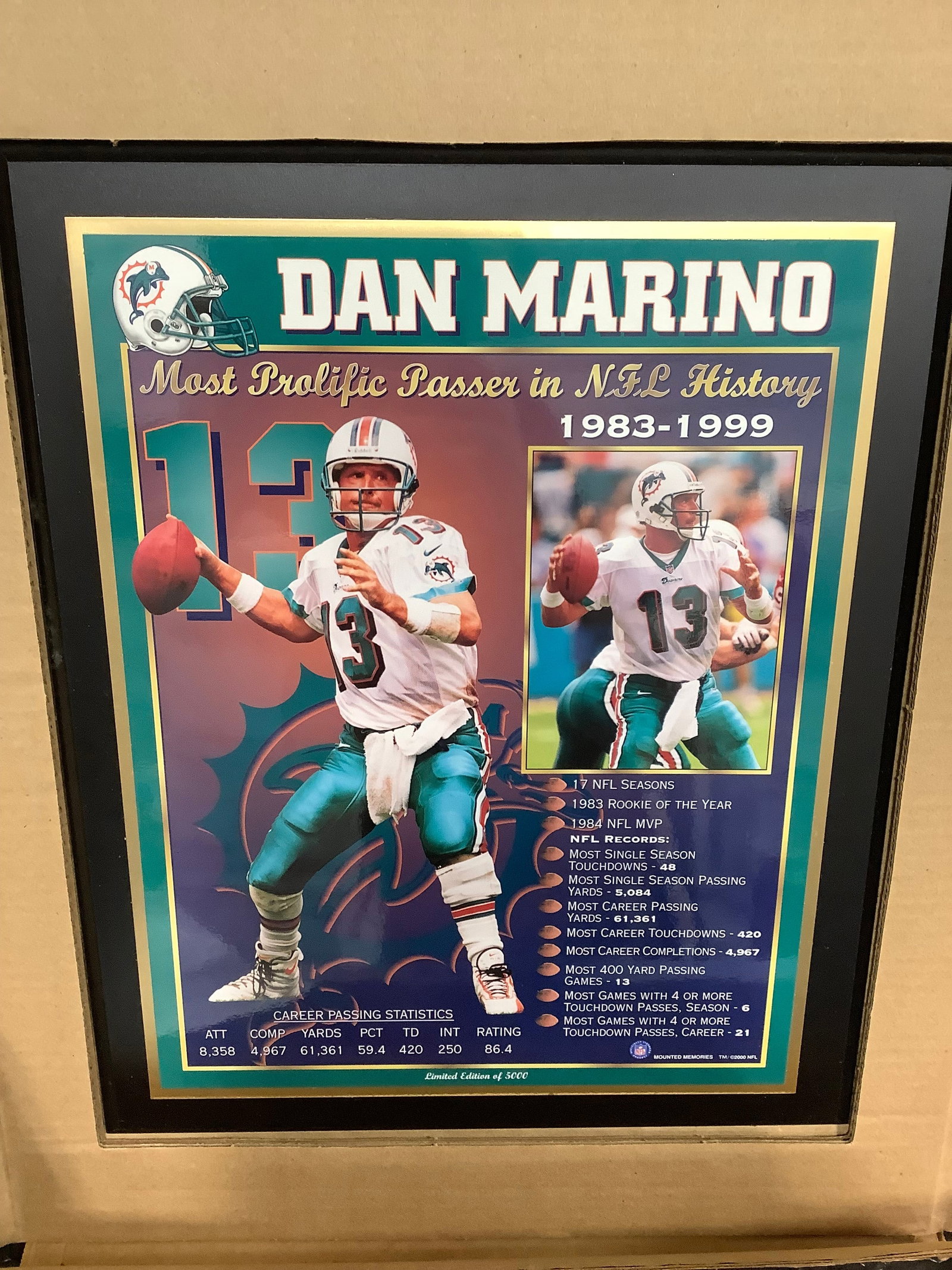 Dan Marino NFL Wall Plaque (13inx15.5in) (1 of 1)