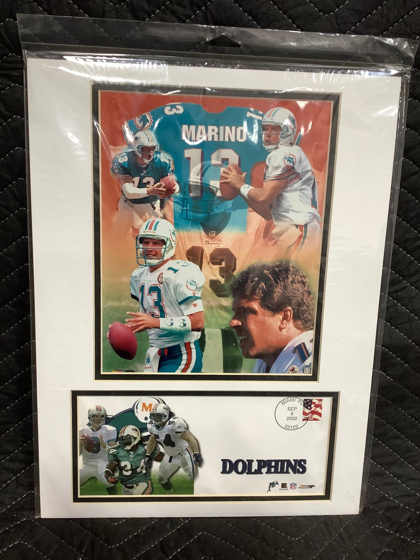 2002 NFL Dolphins Prints (12inx16in): 2002 NFL Dolphins Prints (12inx16in)