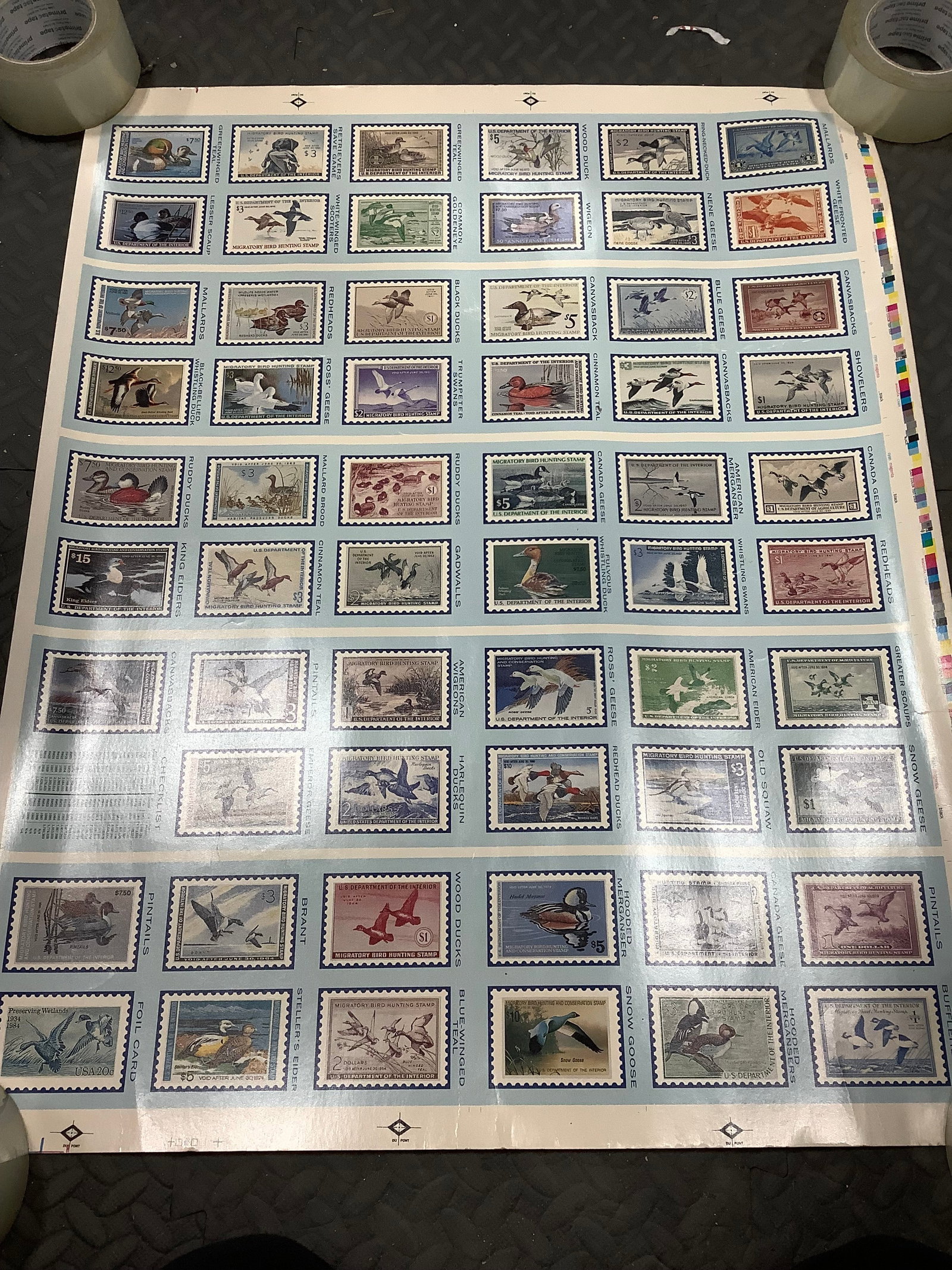 1991 Duck stamps poster(23inx29in) (1 of 1)