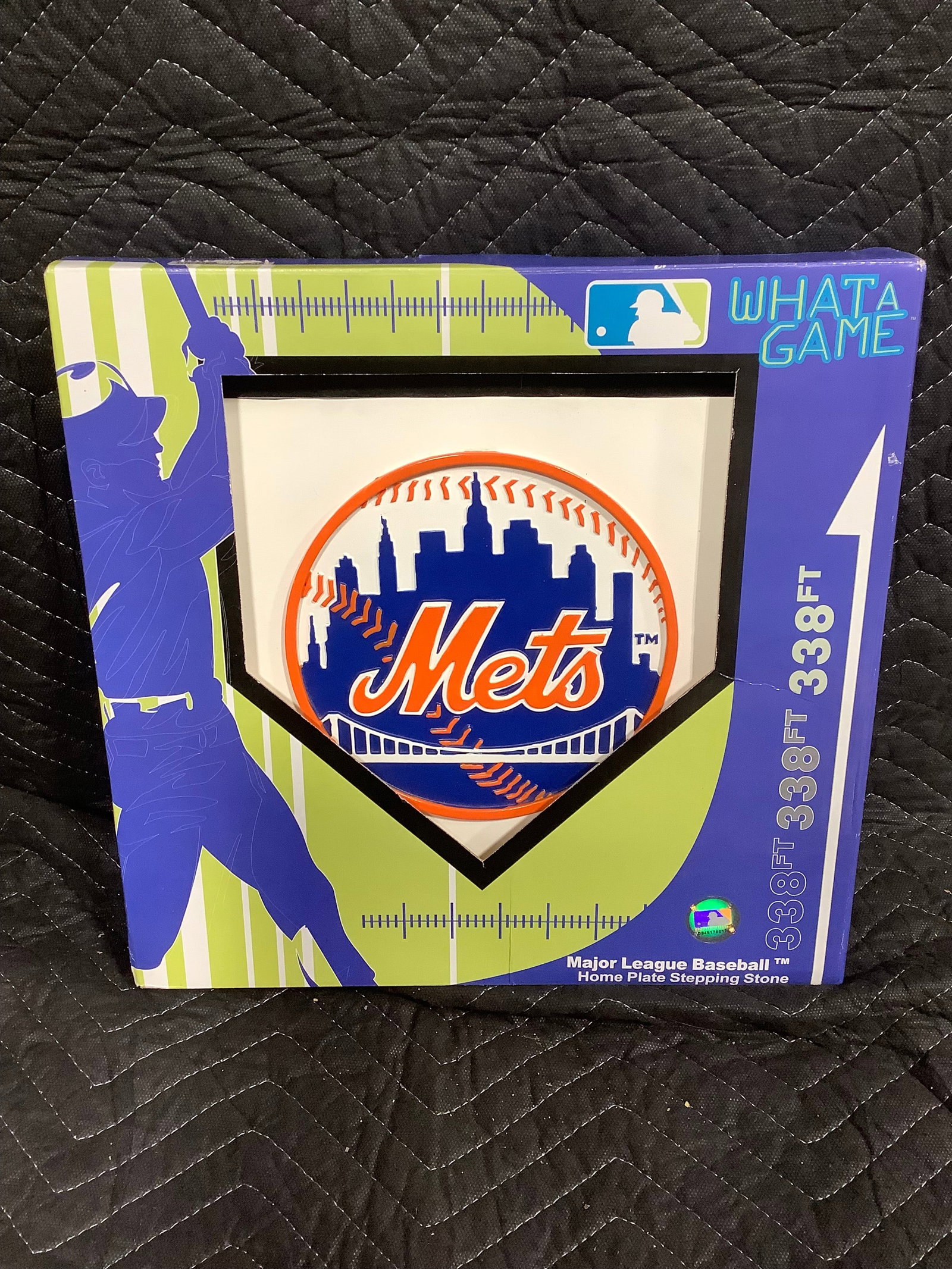 Major League Baseball Home Plate Stepping Stone (1 of 1)
