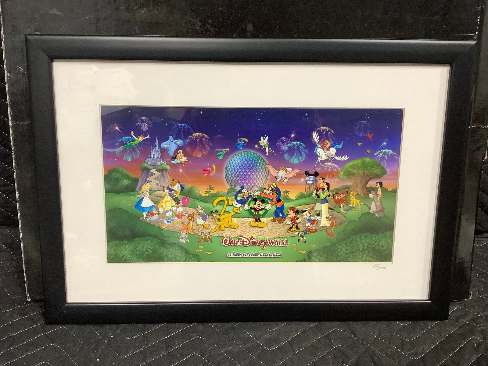Framed Walt Disney World Pin Set (1 of 1)