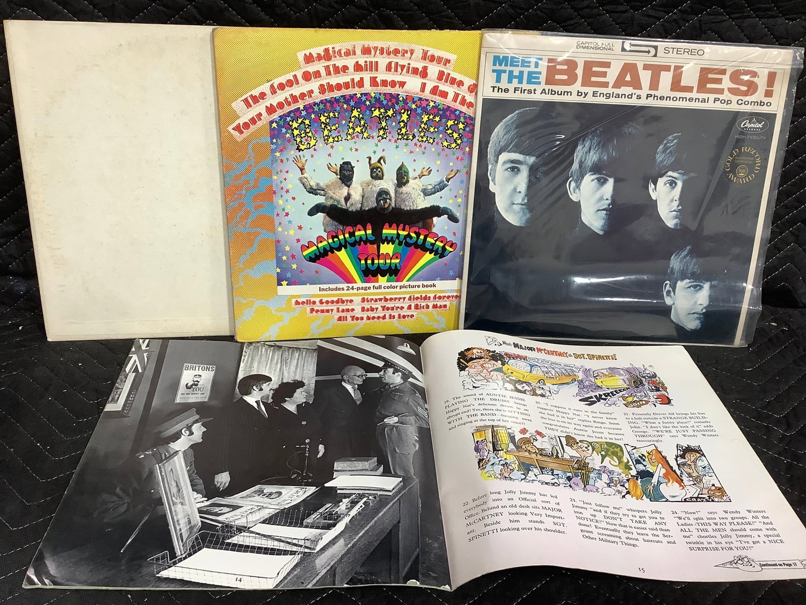 Vintage Beatles Records (1 of 1)