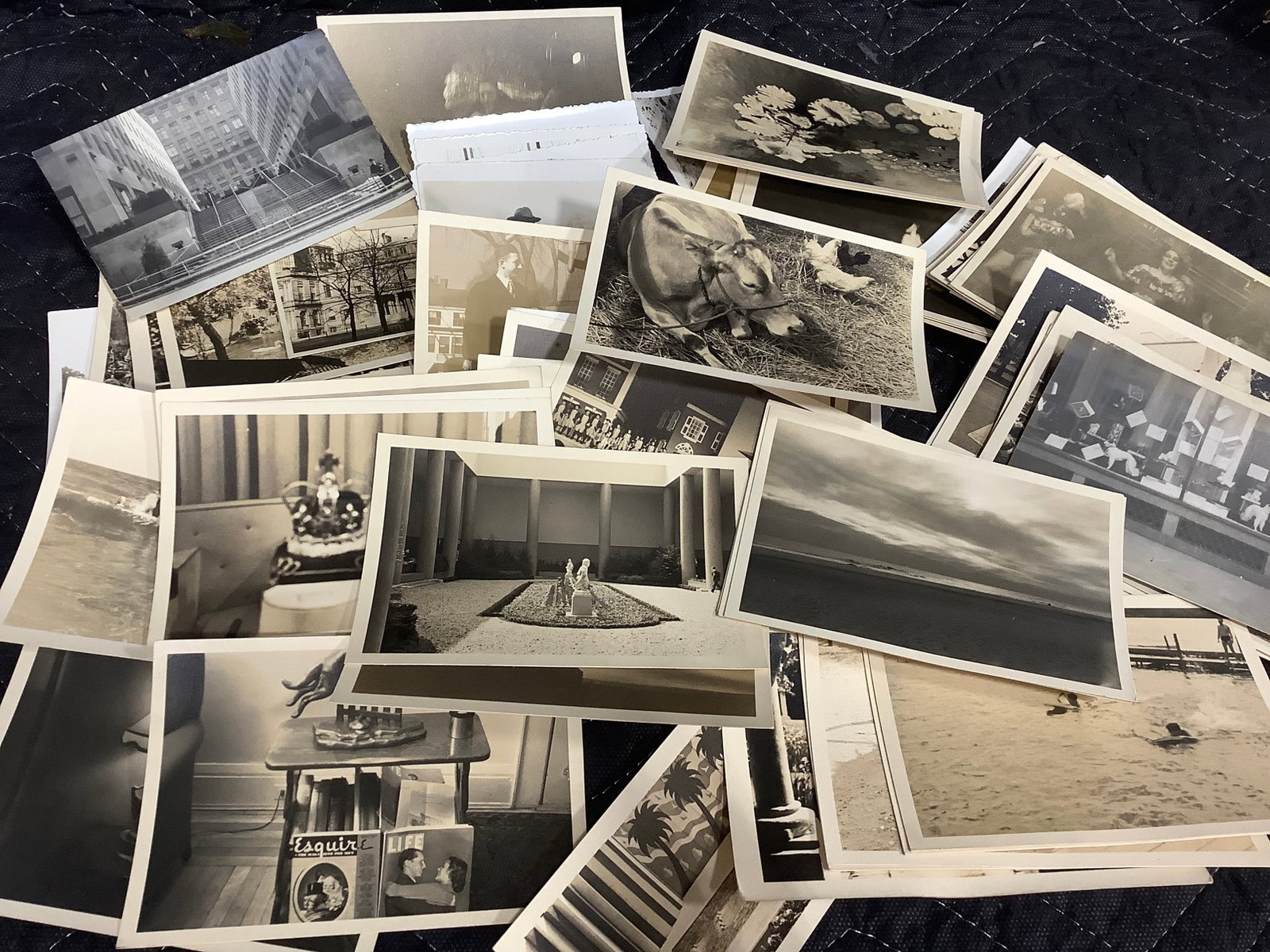 Vintage Photographs: Vintage Photographs