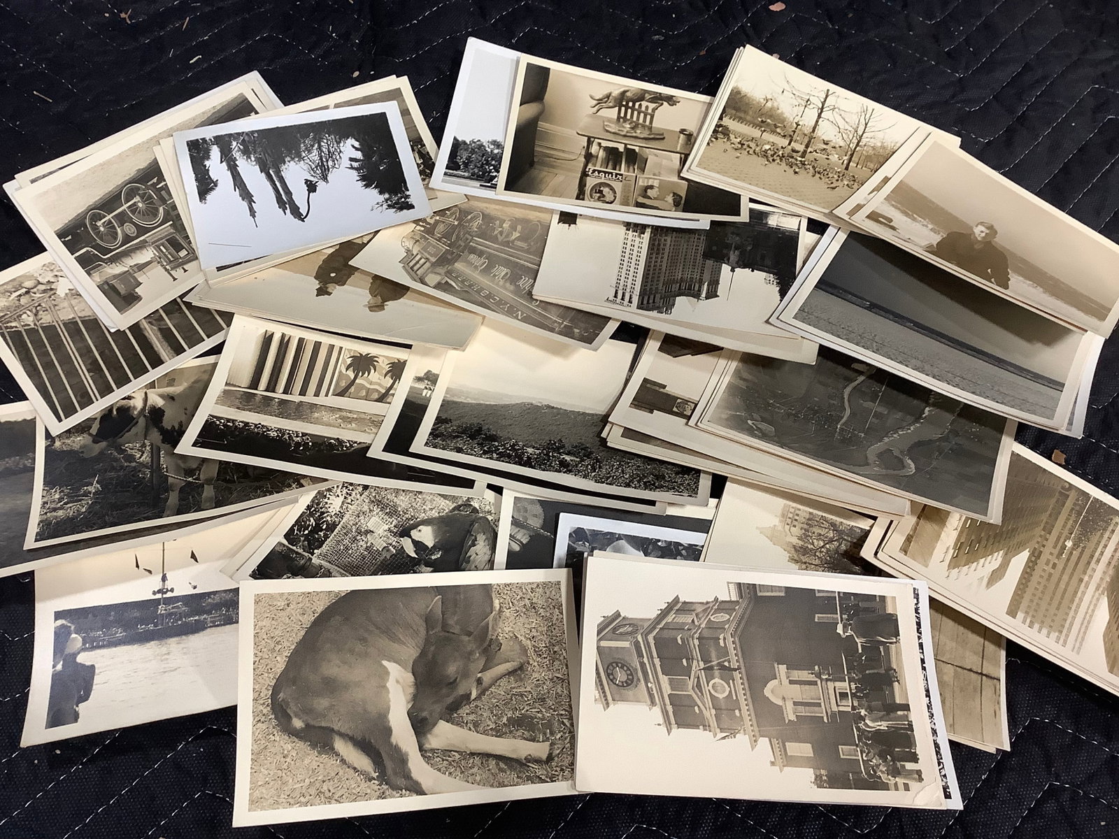Vintage Photographs: Vintage Photographs