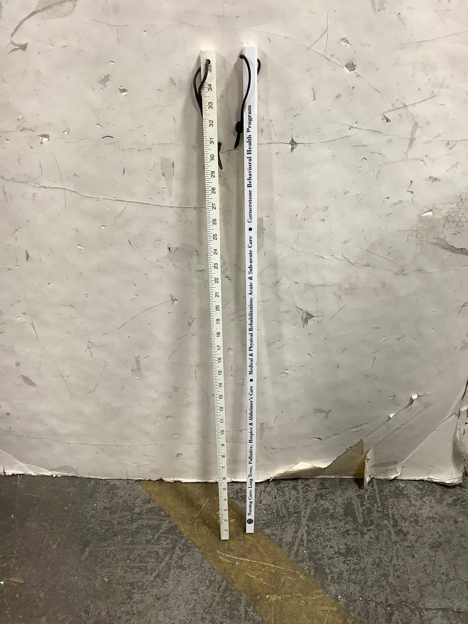 Advertising Rulers (1 of 1)