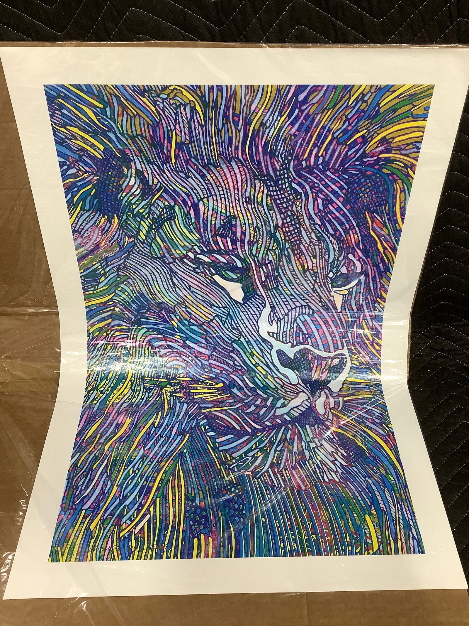 Vibrant Lion signed artwork(19.5inx21in): Vibrant Lion signed artwork(19.5inx21in)