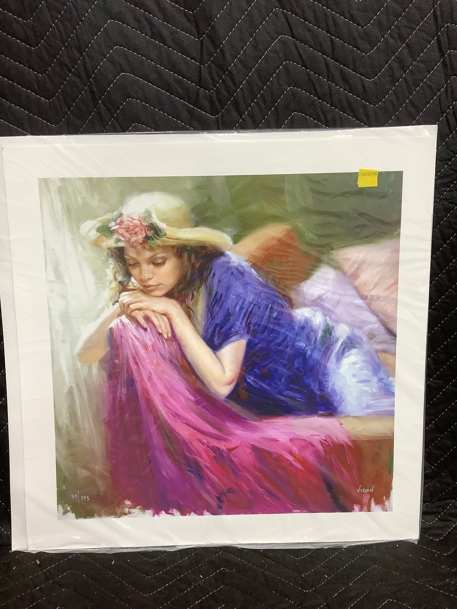 Limited edition art print signed Vidan(17.5inx18in) (1 of 1)