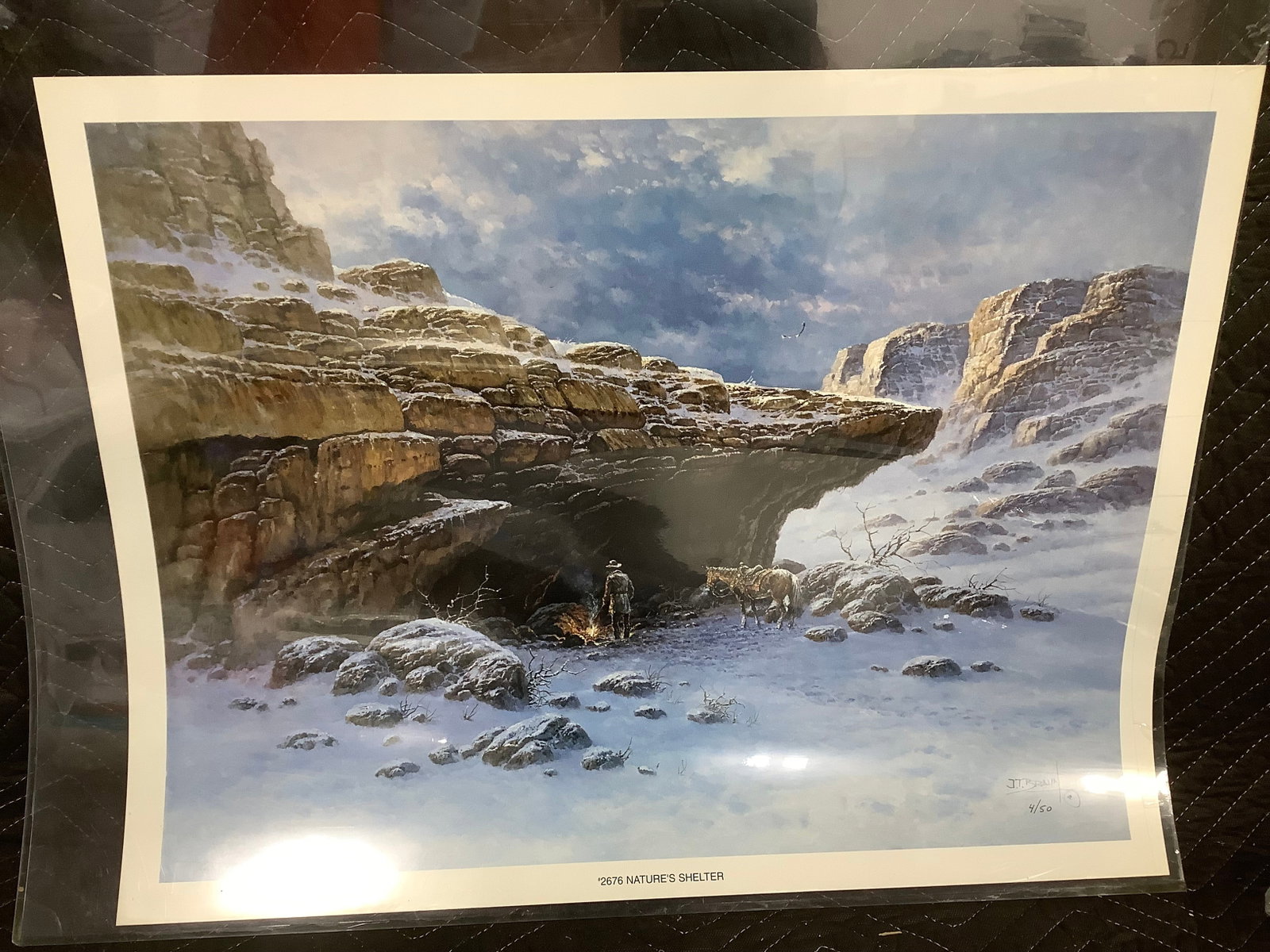2676 Natures Shelter print signed JT Braun(20inx26in) (1 of 1)