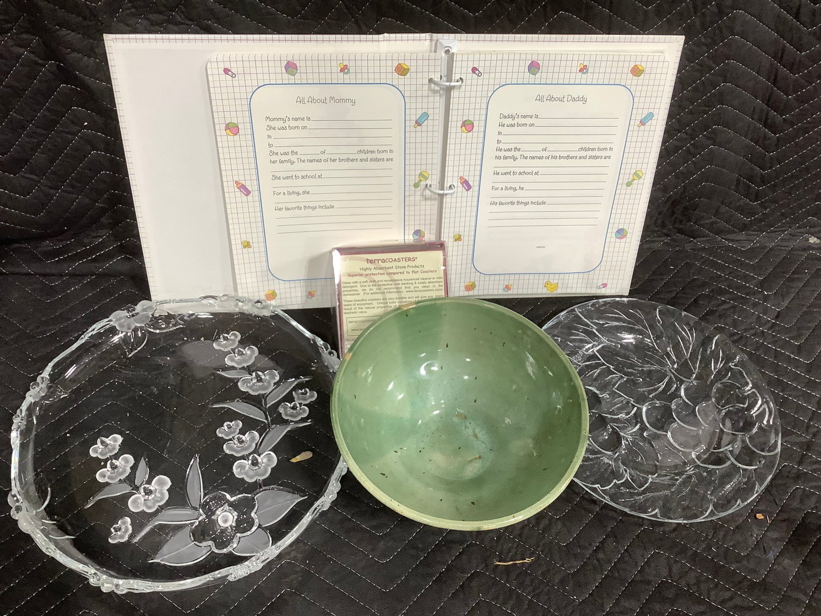 Glass Plates, Childrens Album, and more (1 of 1)
