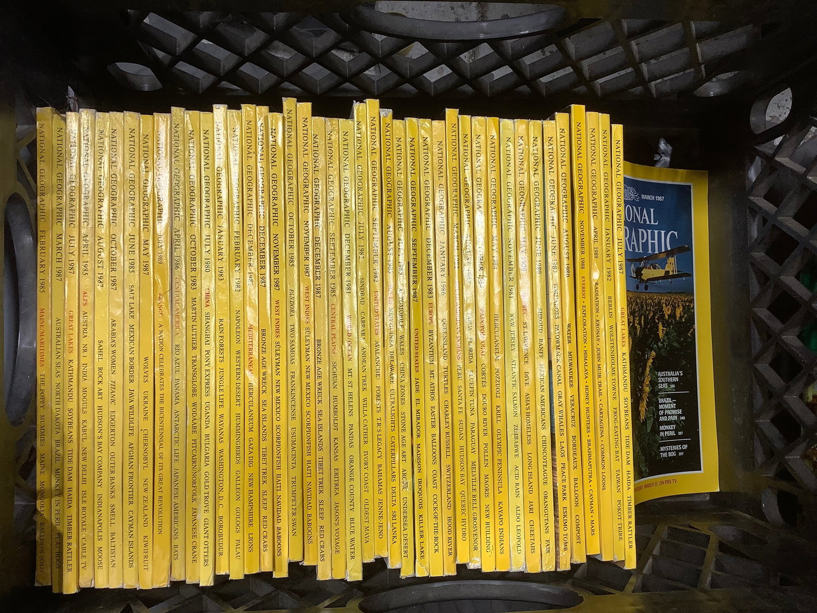 1990s National Geographic Magazines(no maps): 1990s National Geographic Magazines(no maps)