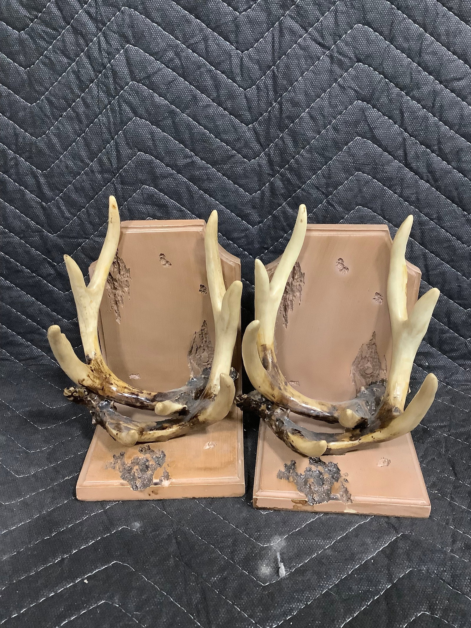 Antler bookends (1 of 1)