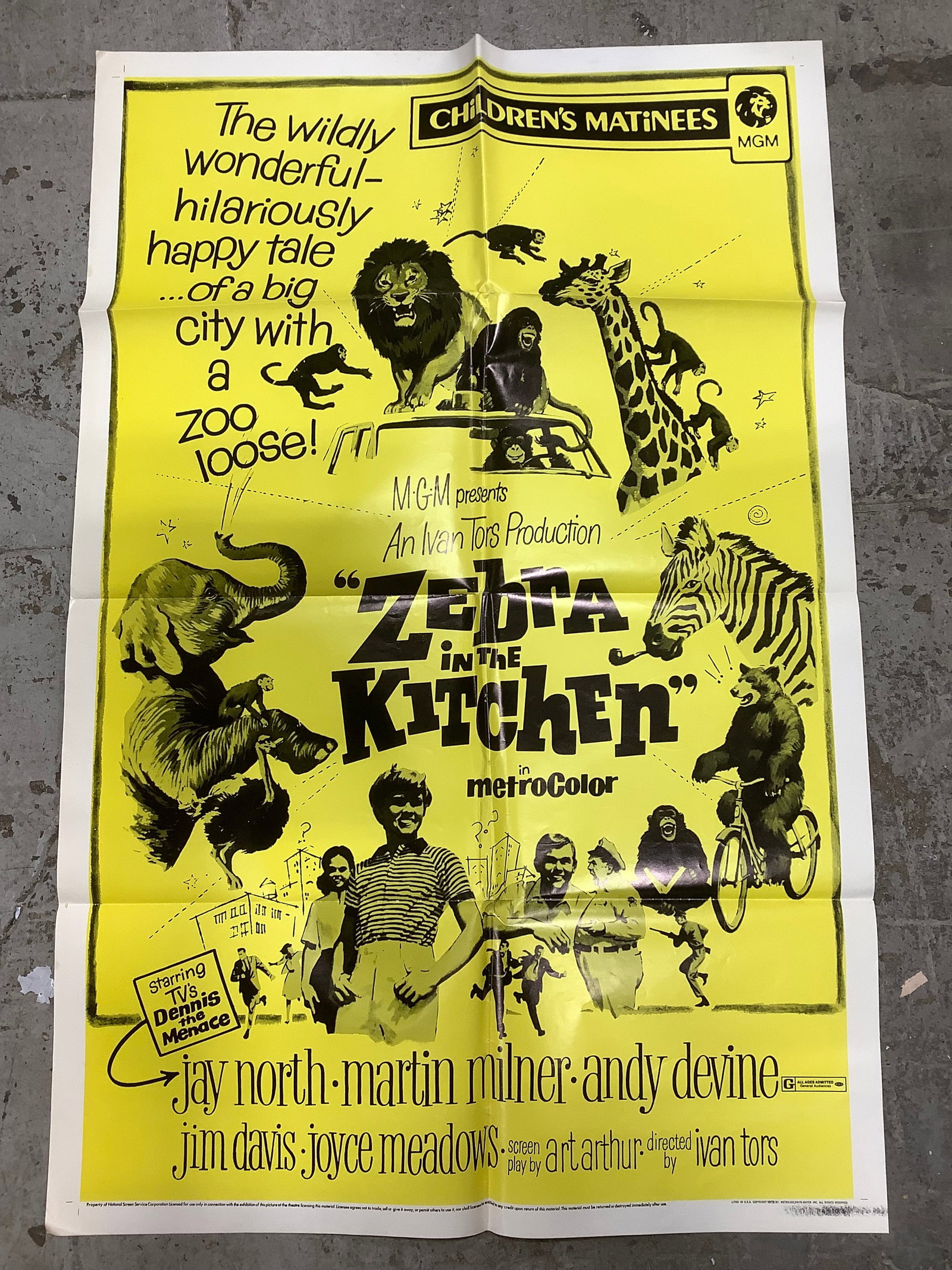Zebra in the Kitchen Poster (27inx41in) (1 of 1)