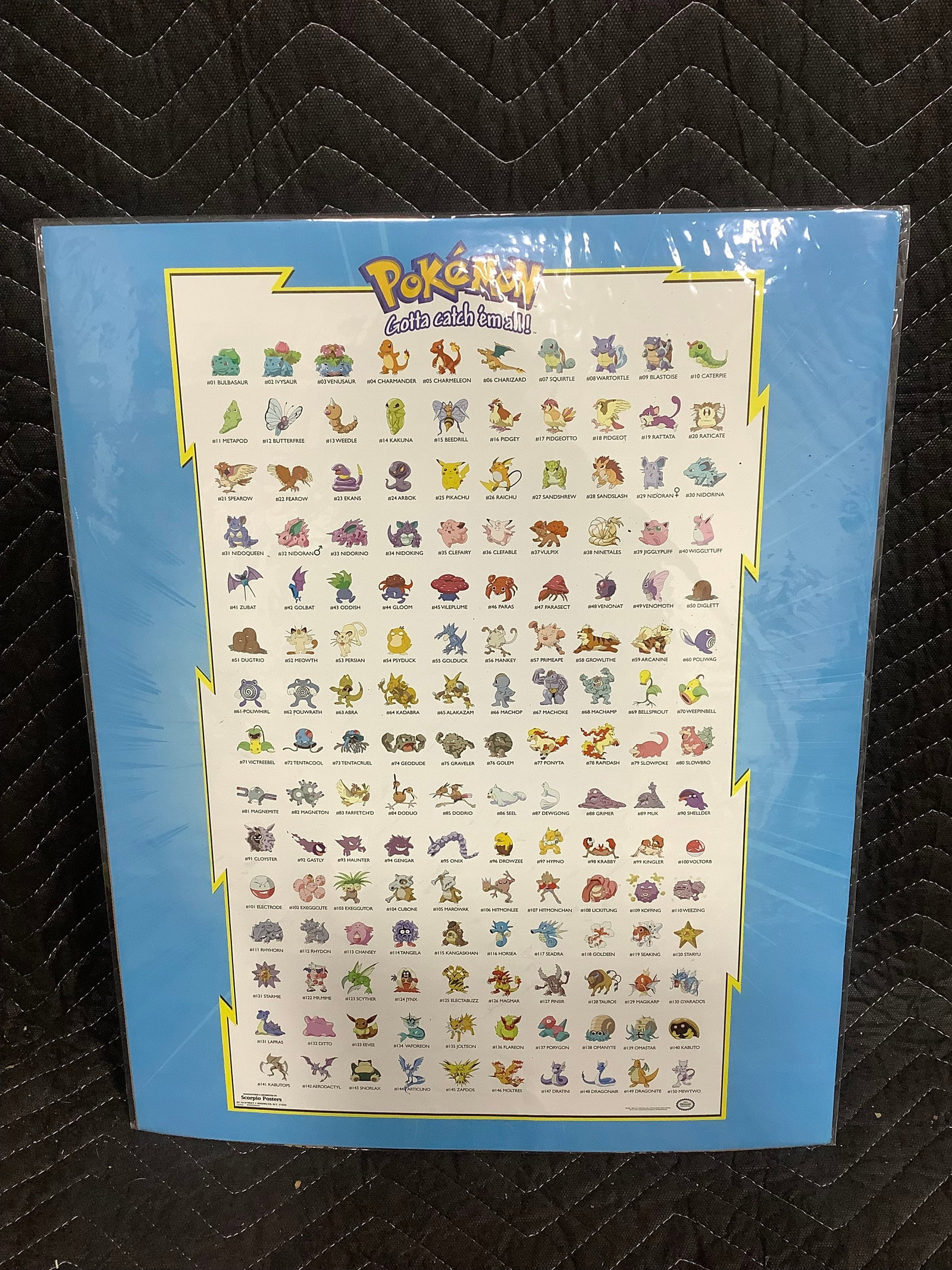 Pokemon poster(16inx20in): Pokemon poster(16inx20in)