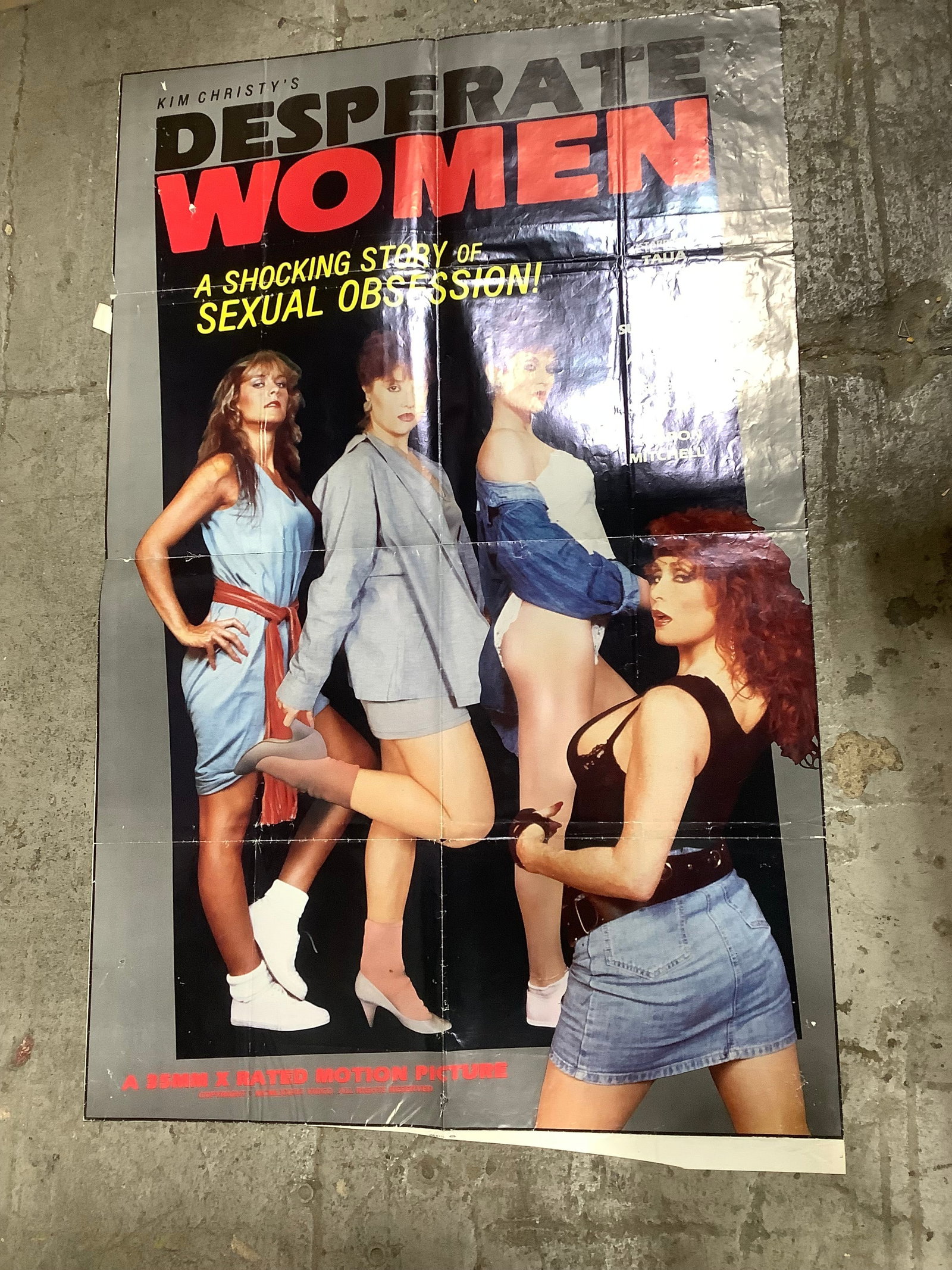 Desperate Women poster(25inx39in): Desperate Women poster(25inx39in)