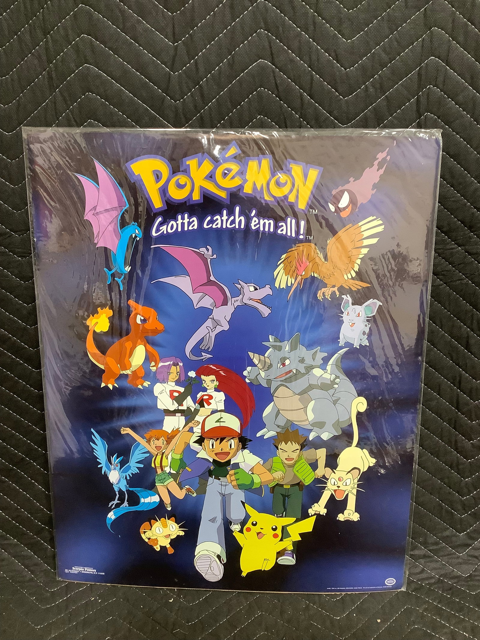 Pokemon poster(16inx20in): Pokemon poster(16inx20in)