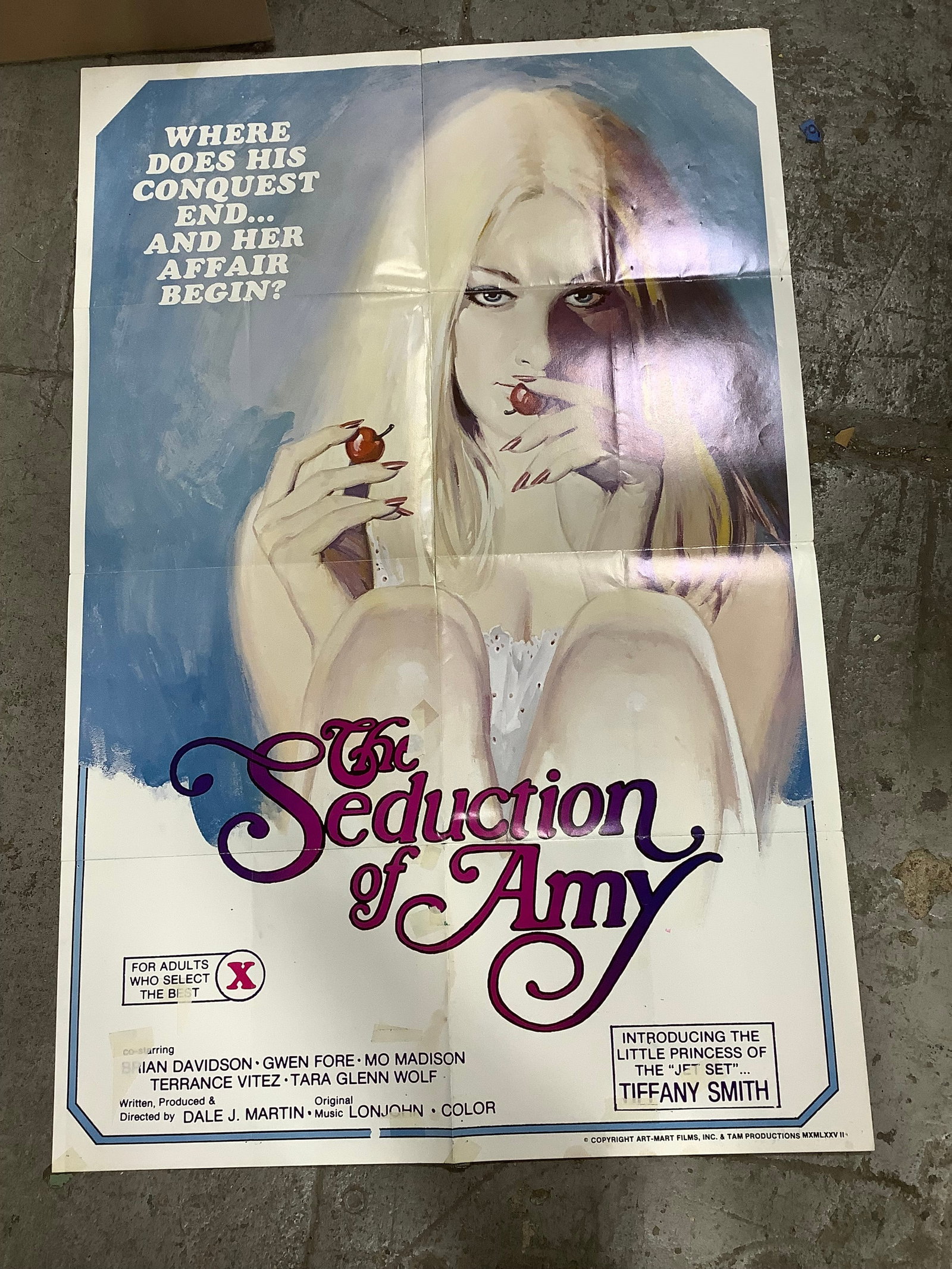 The Seduction of Amy poster print(25inx38in): The Seduction of Amy poster print(25inx38in)