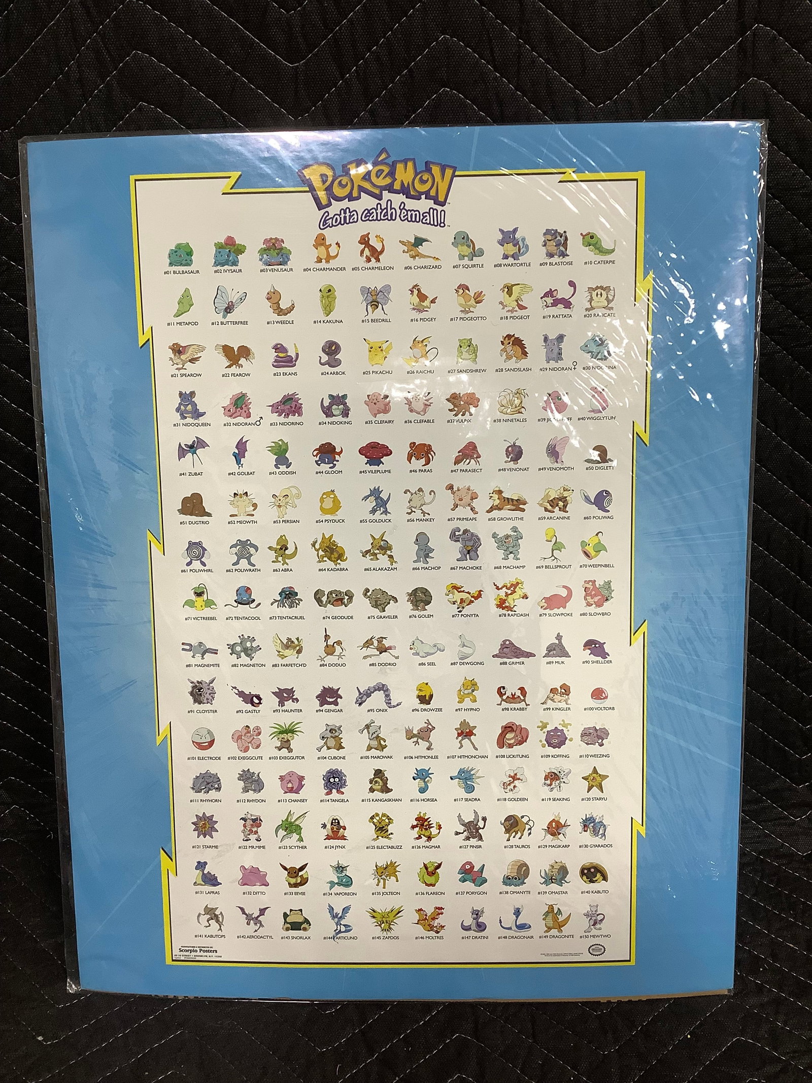 Pokemon poster(16inx20in): Pokemon poster(16inx20in)