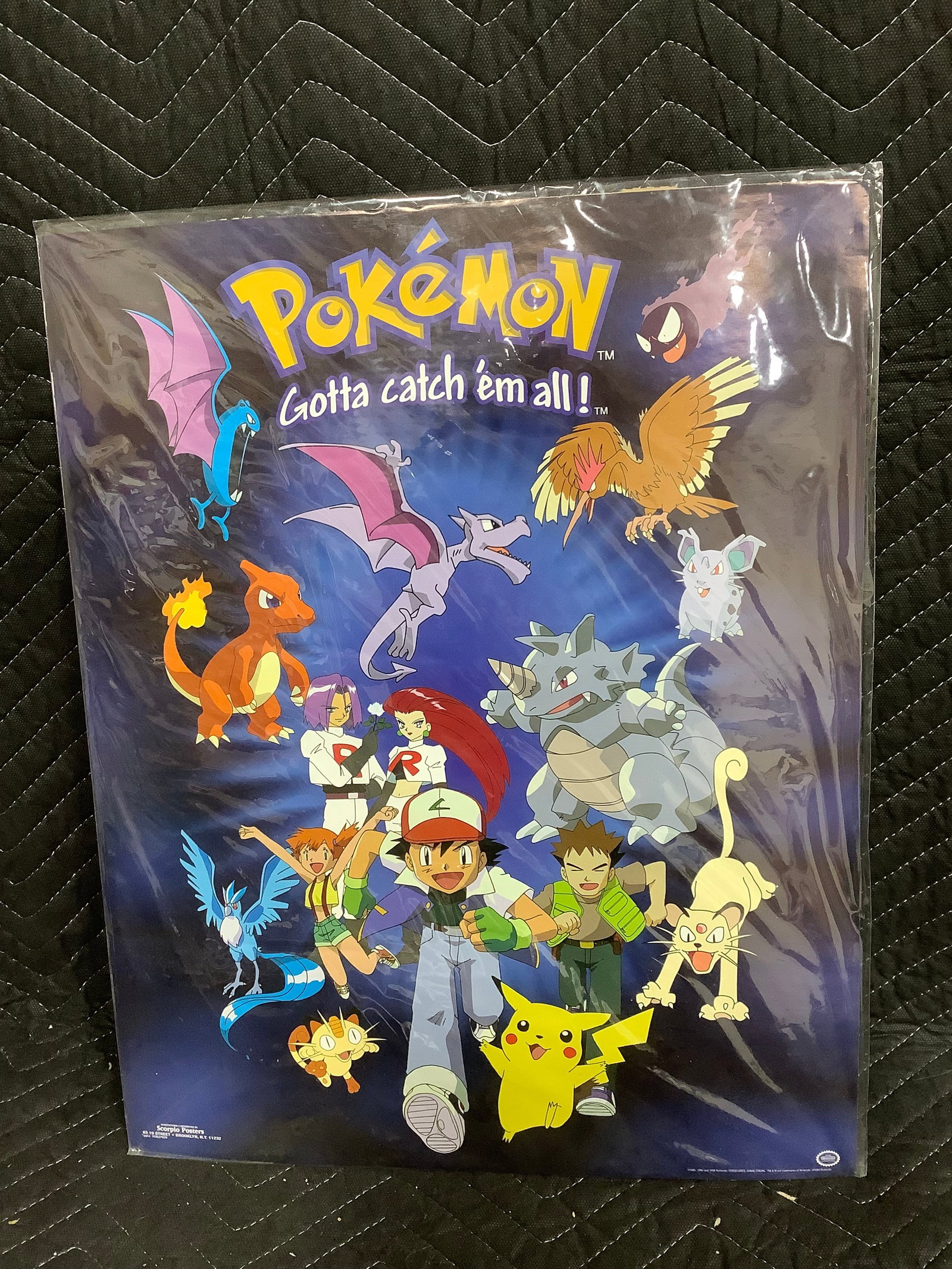 Pokemon poster(16inx20in): Pokemon poster(16inx20in)