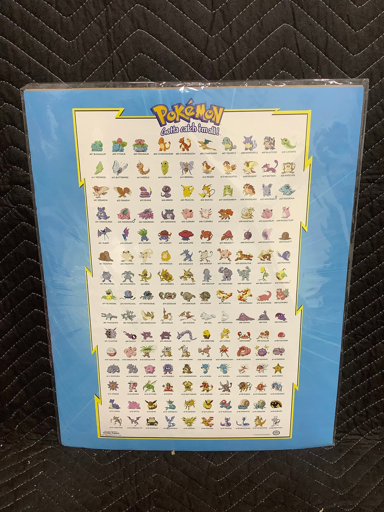 Pokemon poster(16inx20in): Pokemon poster(16inx20in)