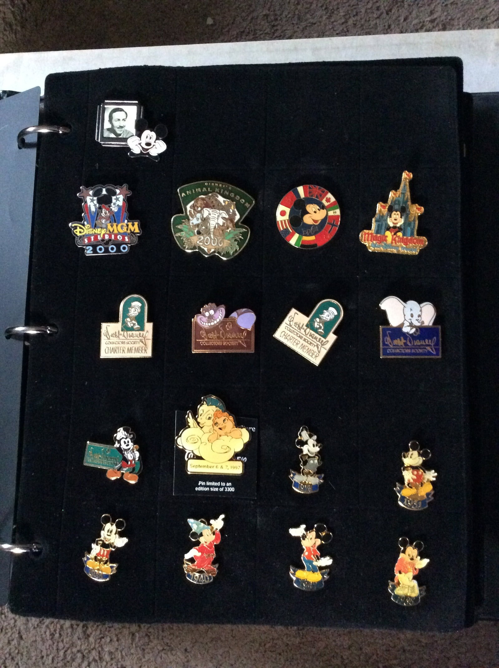 DISNEY STORE PIN SET COMPLETE SET OF PINS: A LIKE NEW CONDITION DISNEY STORE millennium COMPLETE SET IN THE ORIGINAL BINDER
