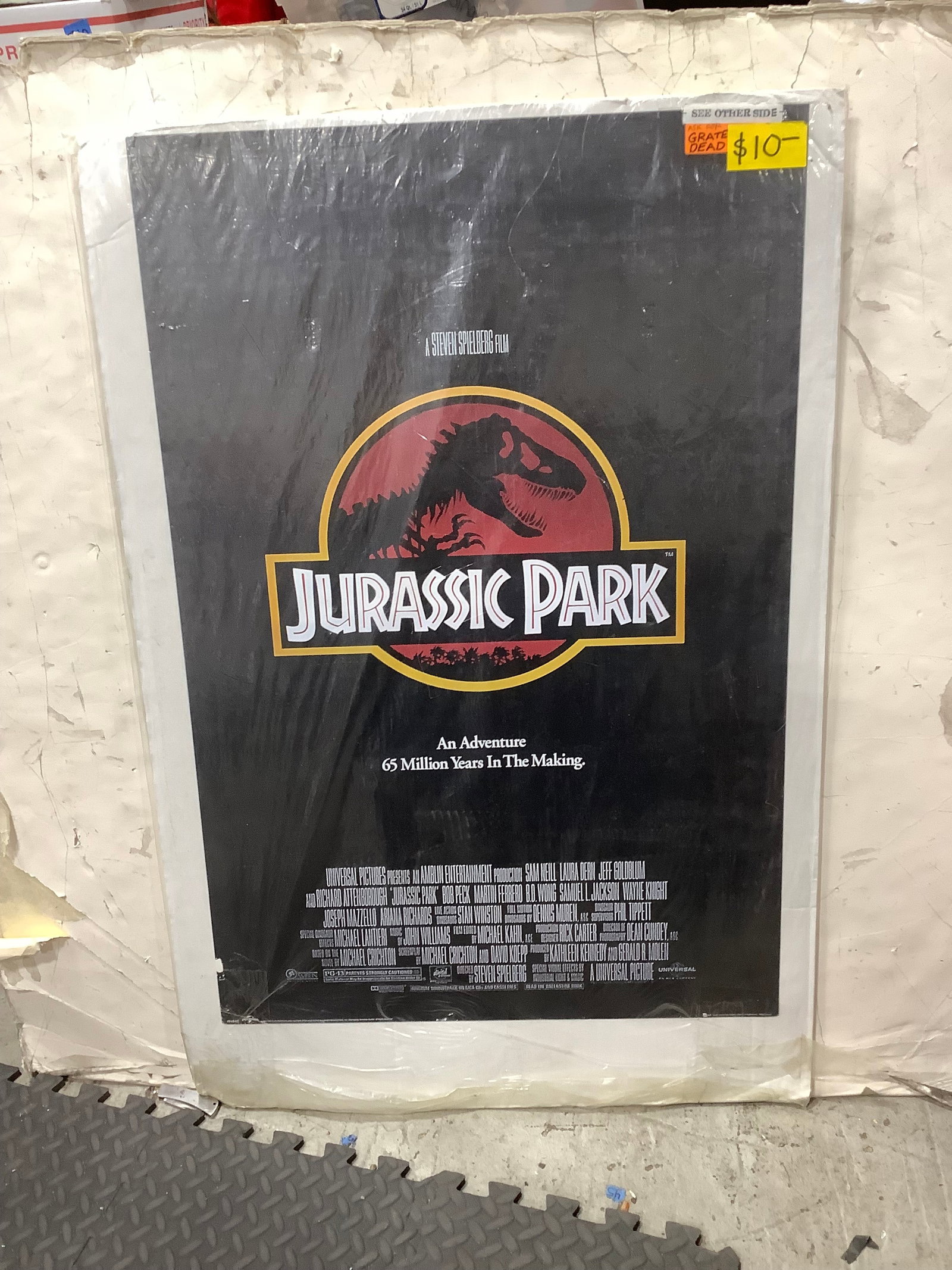 Jurassic Park Poster (24in36in): Jurassic Park Poster (24in36in)