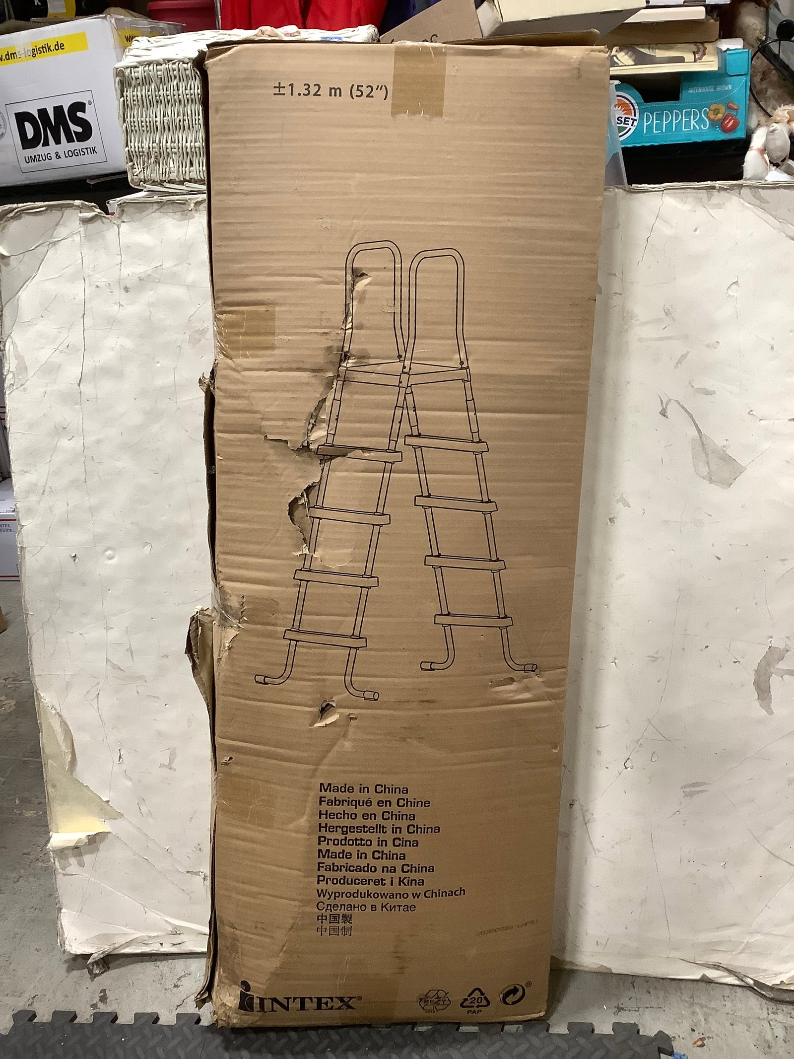 Intex ladder: Intex ladder