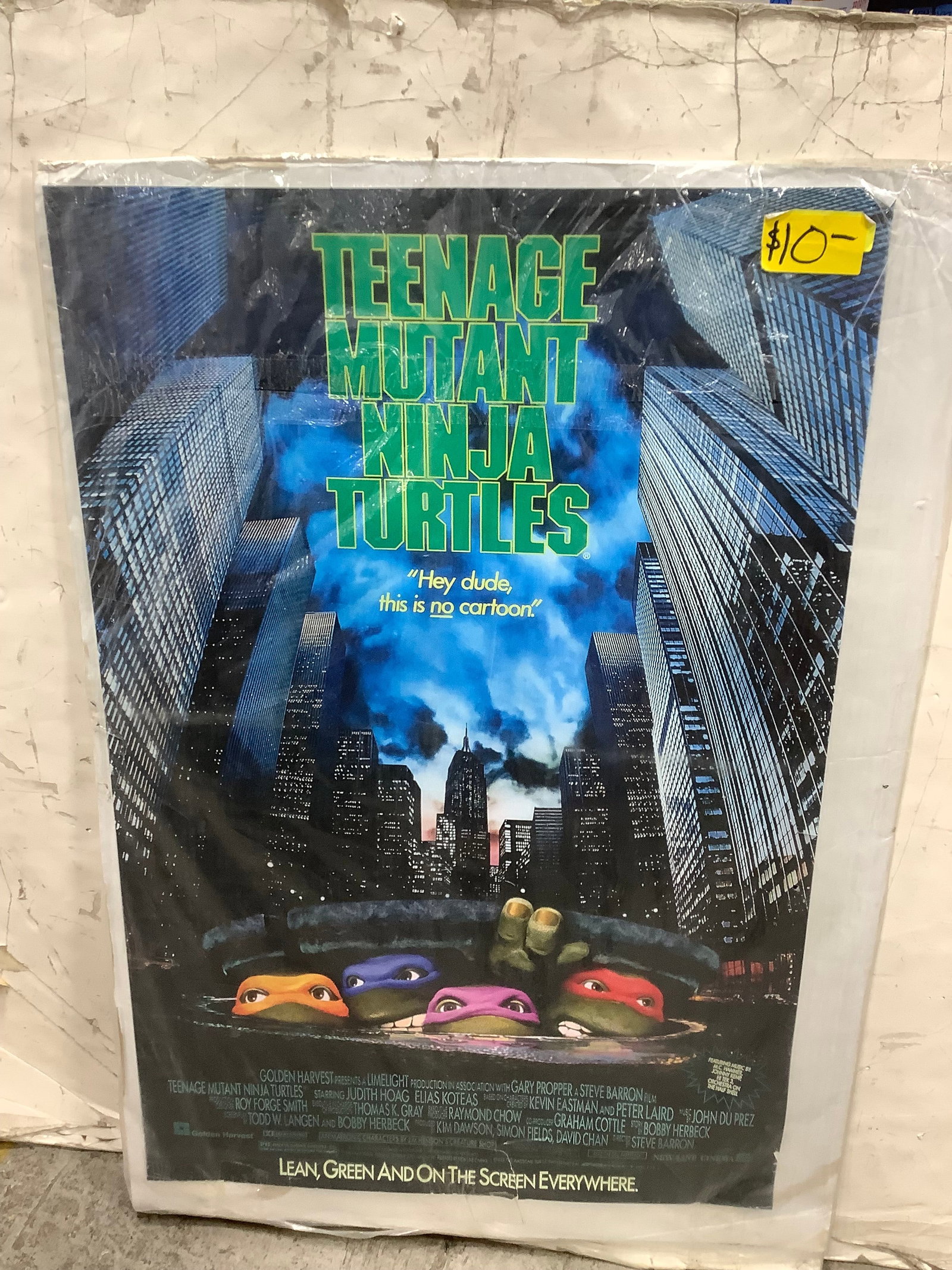 Teenage Mutant Ninja Turtles Poster(24inx36in) (1 of 1)