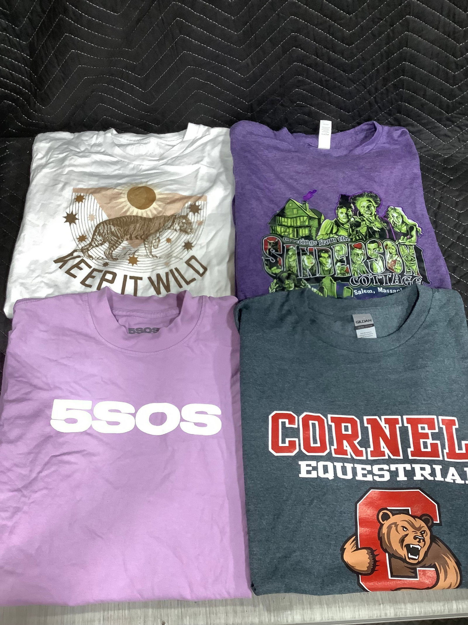 Tshirts(various sizes): Tshirts(various sizes)