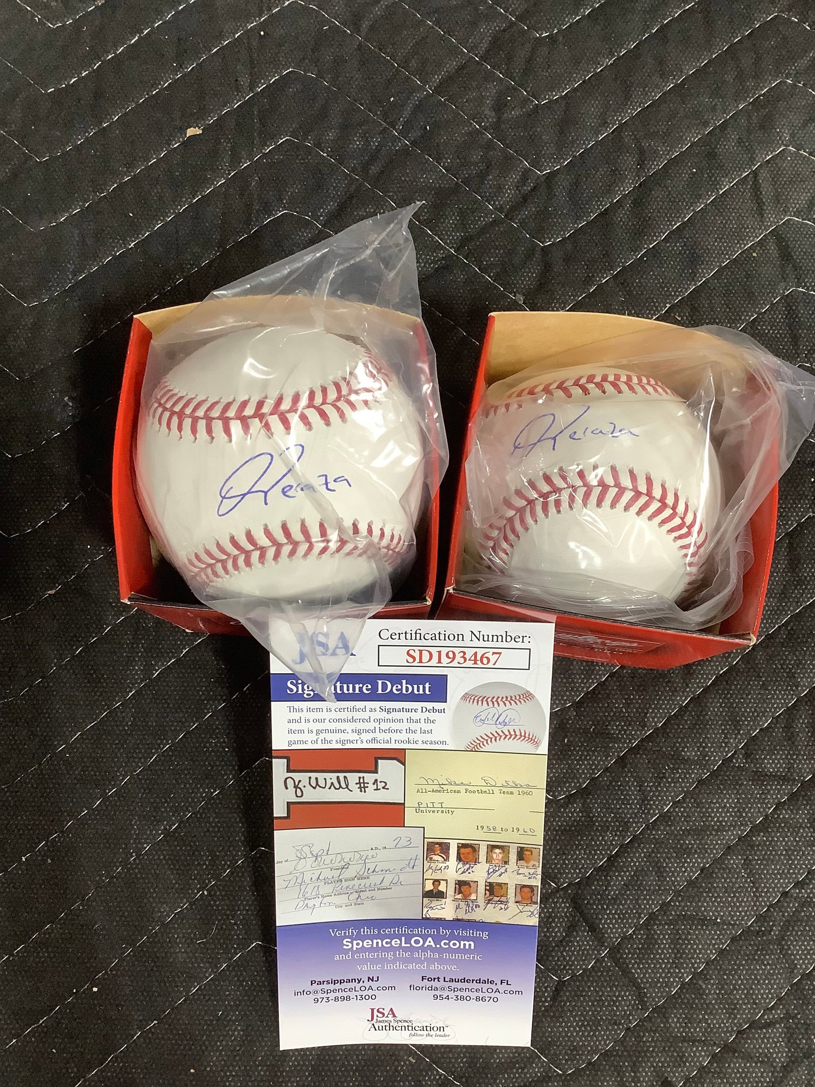 Oswald Peraza signed NY Yankees baseballs (1 of 1)