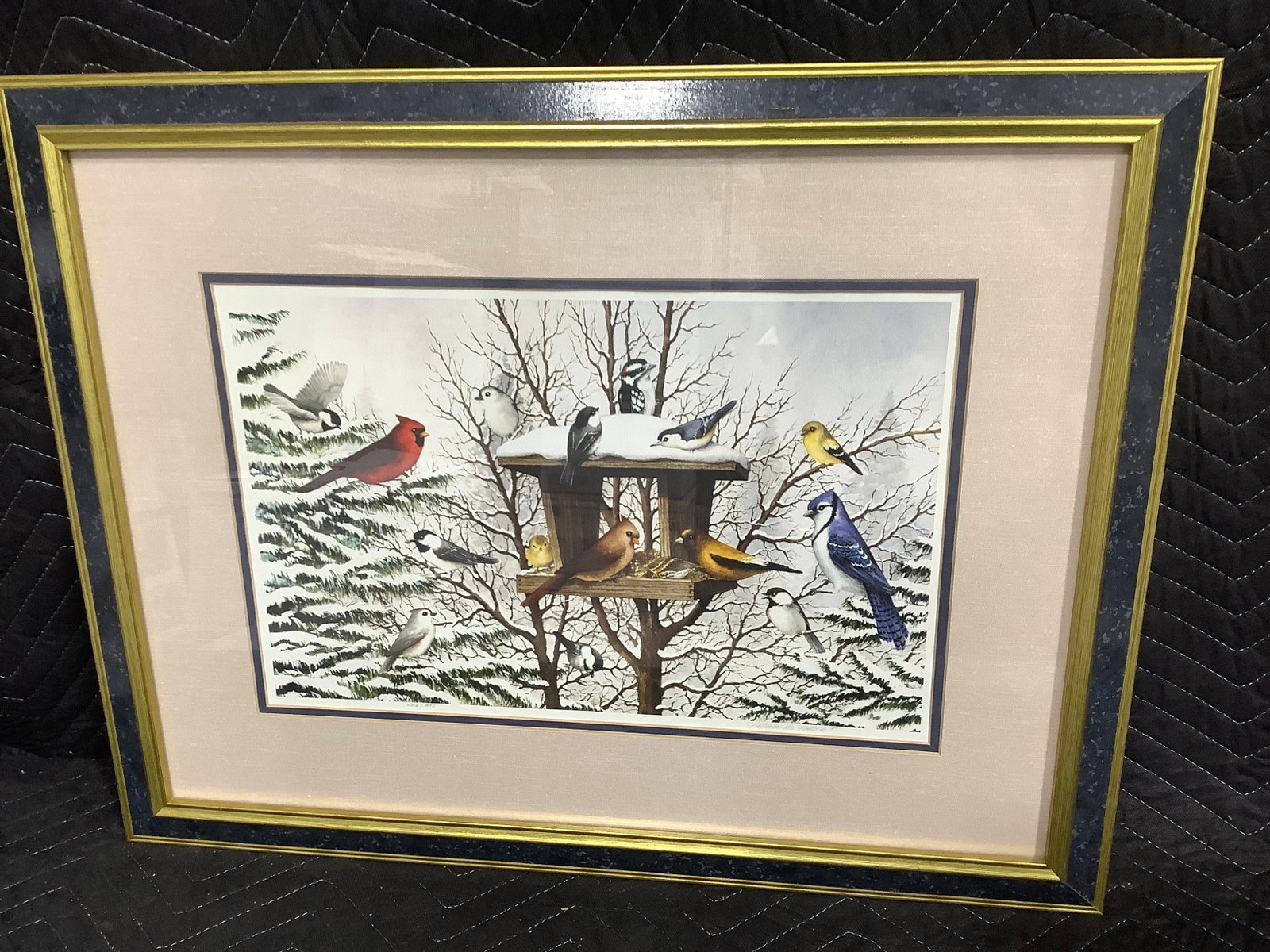Framed Bird Artwork (19.5inx25in) (1 of 1)