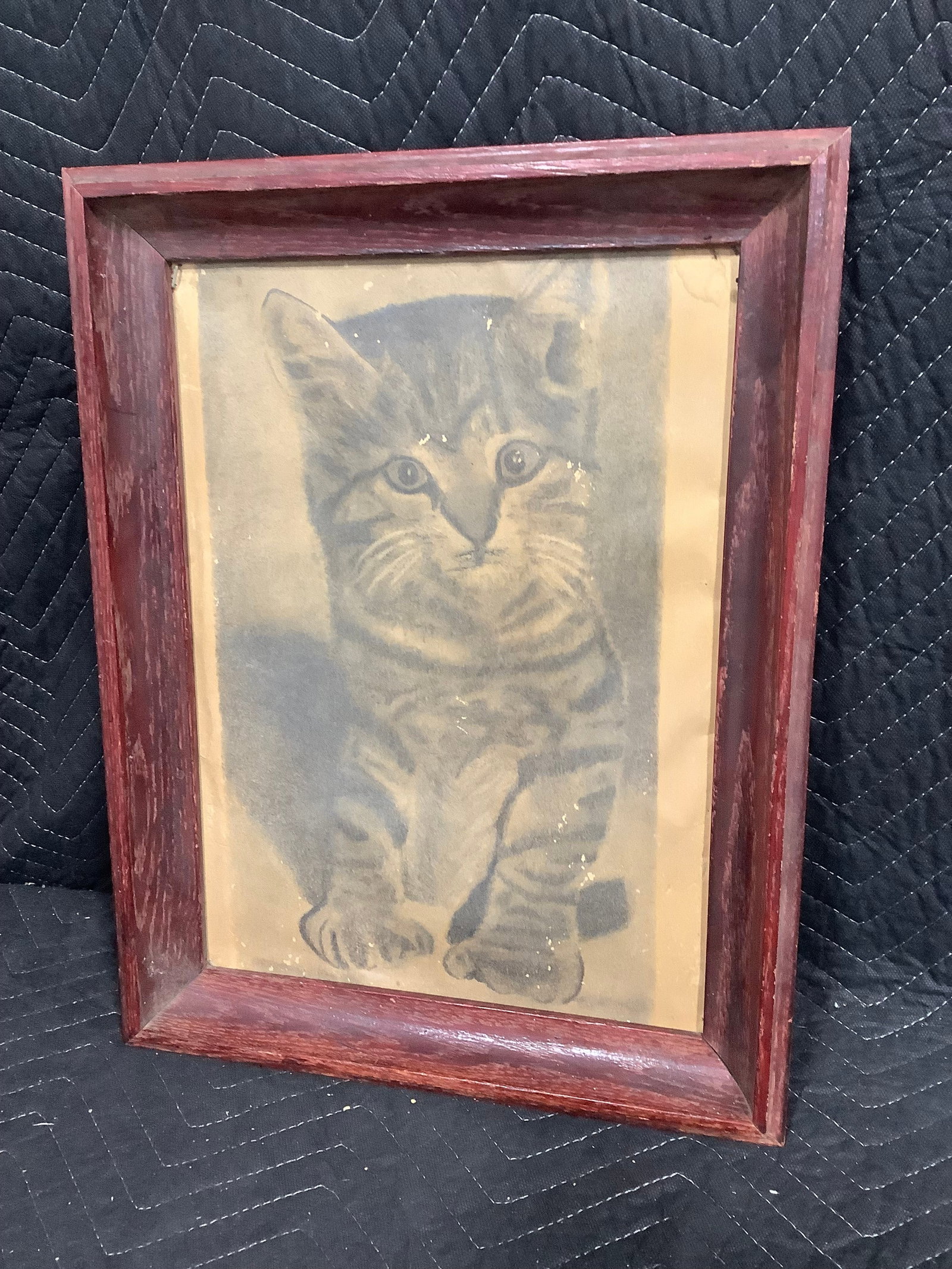 Framed Cat Artwork (14.5inx18.5in) (1 of 1)