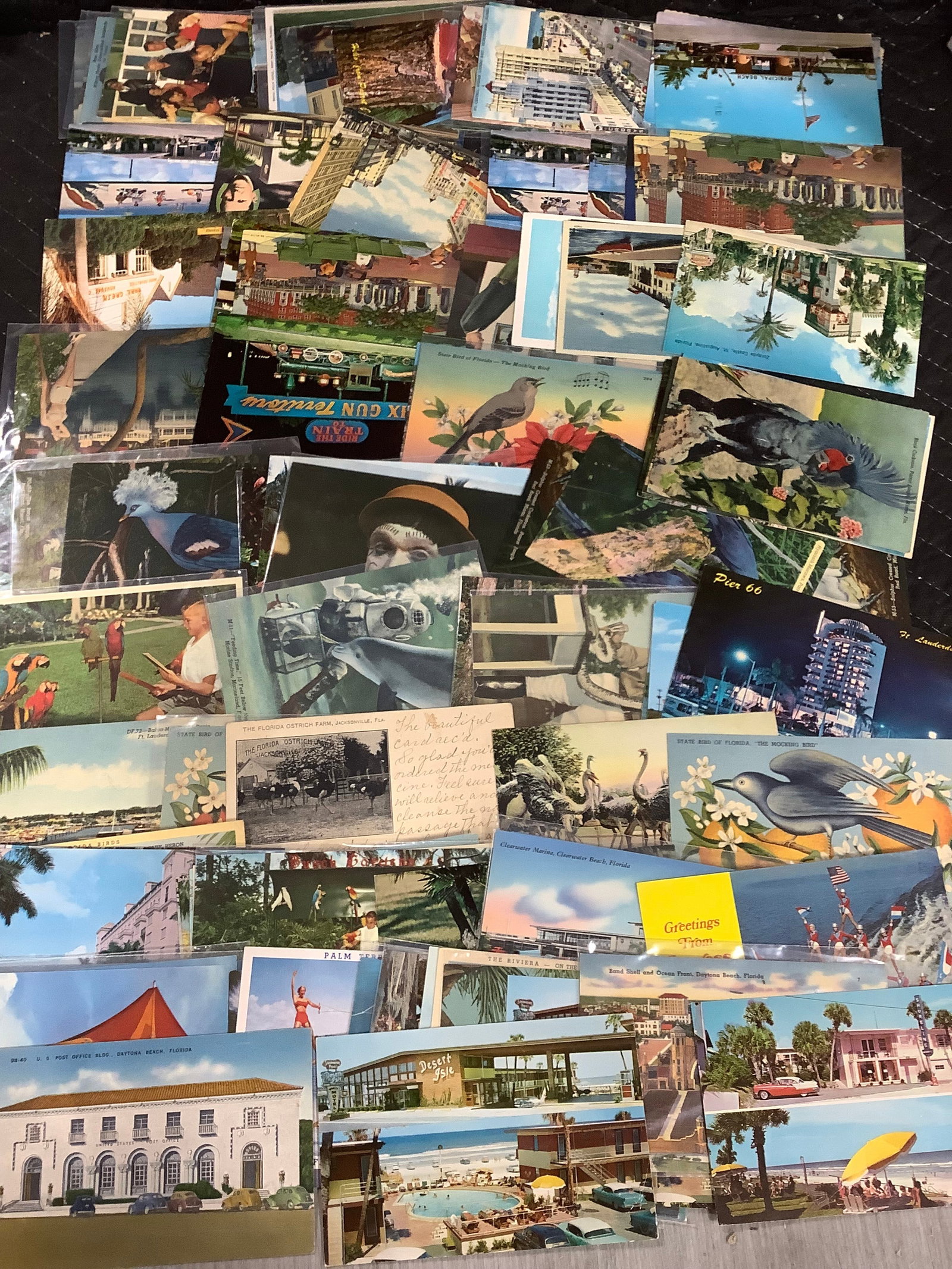 Vintage Postcards (1 of 1)