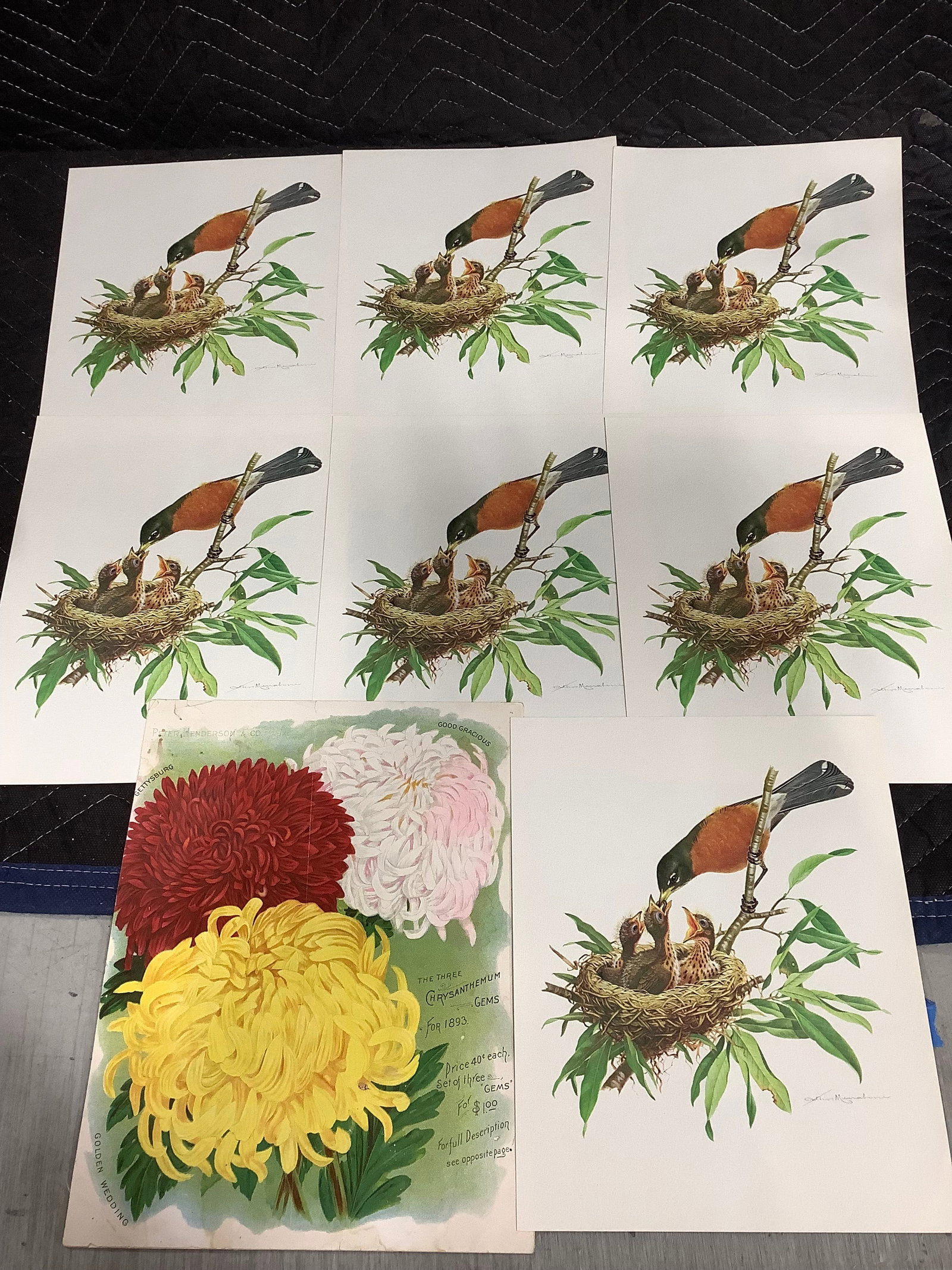 Vintage prints(8inx10in) (1 of 1)