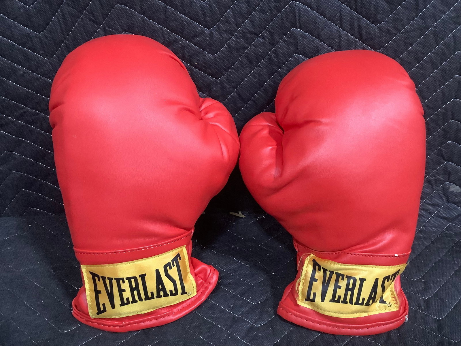 Everlast Boxing Gloves (1 of 1)