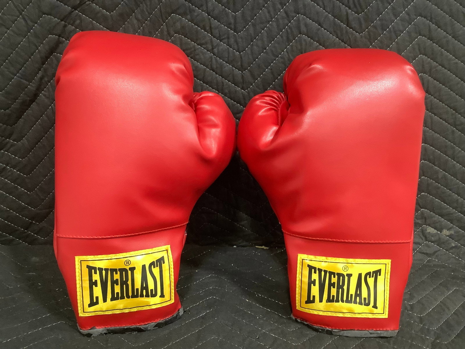 Everlast Boxing Gloves (1 of 1)