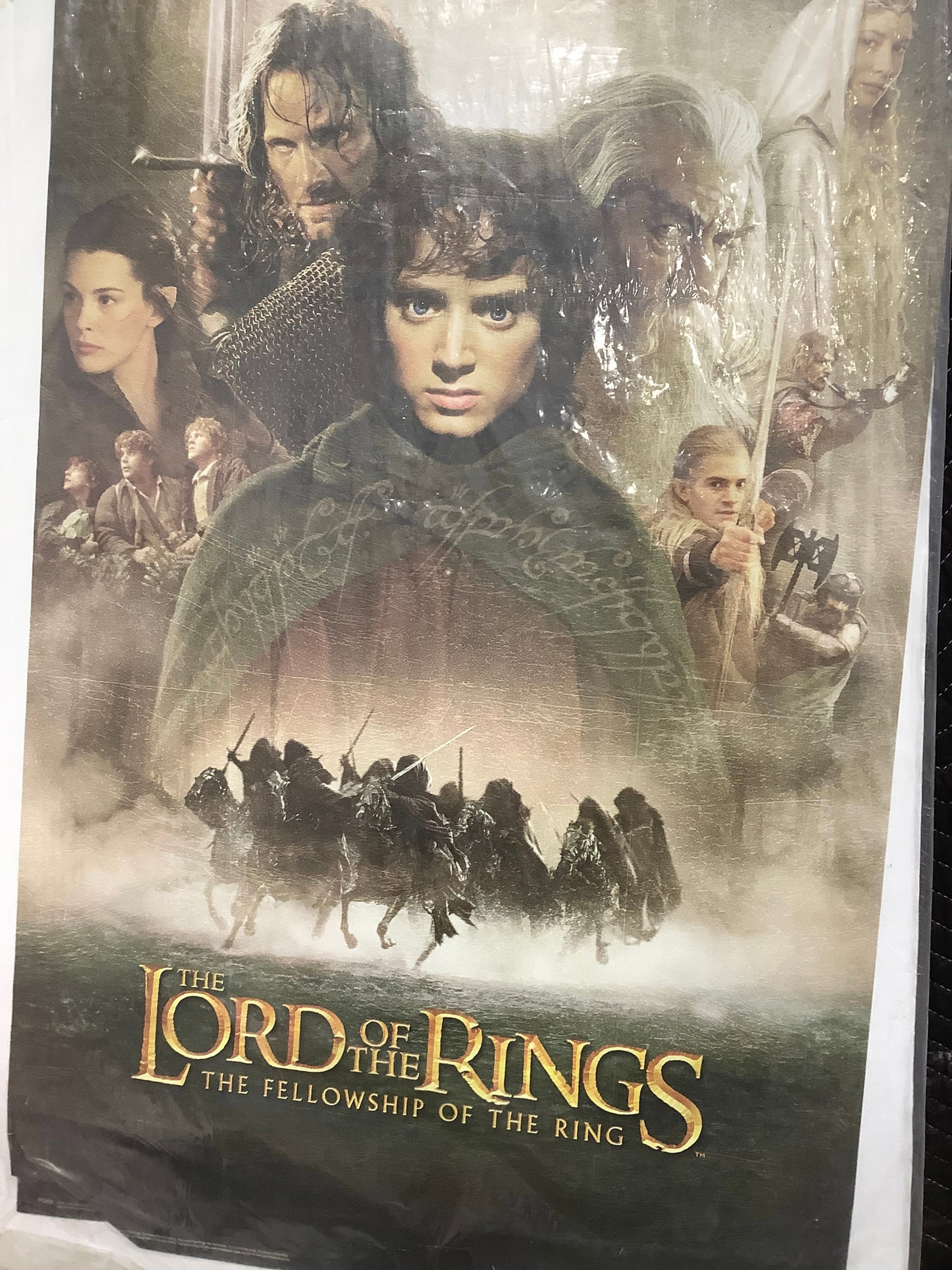 The Lord of the Rings Movie Poster (24inx36in): The Lord of the Rings Movie Poster (24inx36in)
