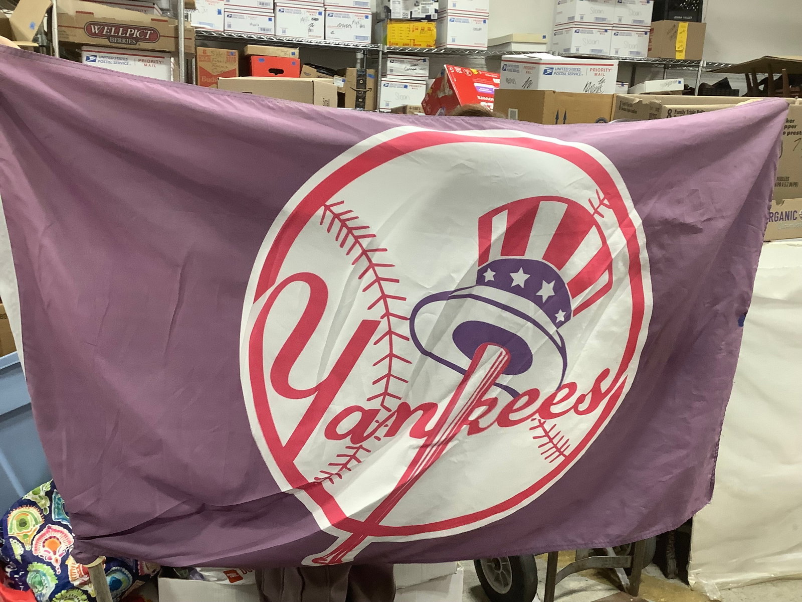 Yankees Flag (33inx55in) (1 of 1)