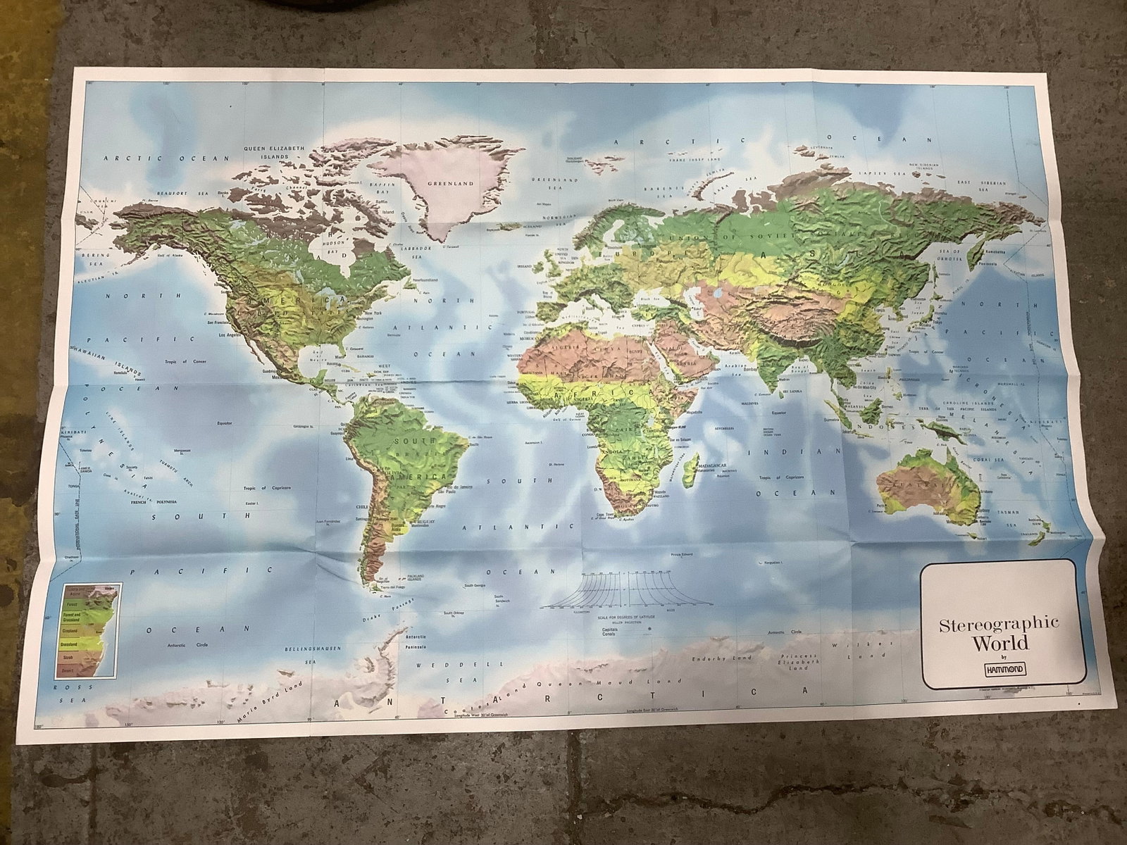 Vintage Hammond stereographic world map(24inx38in): Vintage Hammond stereographic world map(24inx38in)