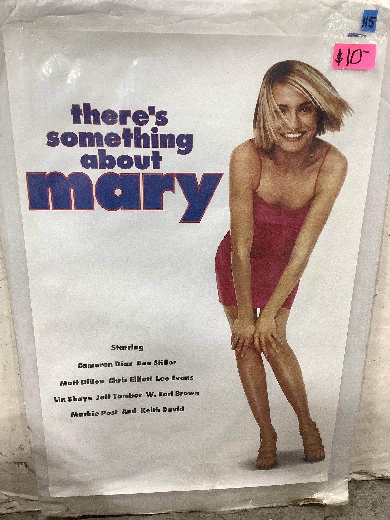 There Something About Mary Movie Poster (24inx36in) (1 of 1)