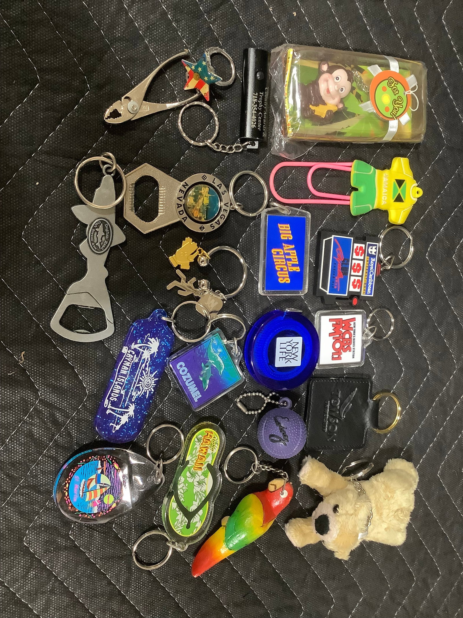 Various keychains (1 of 1)