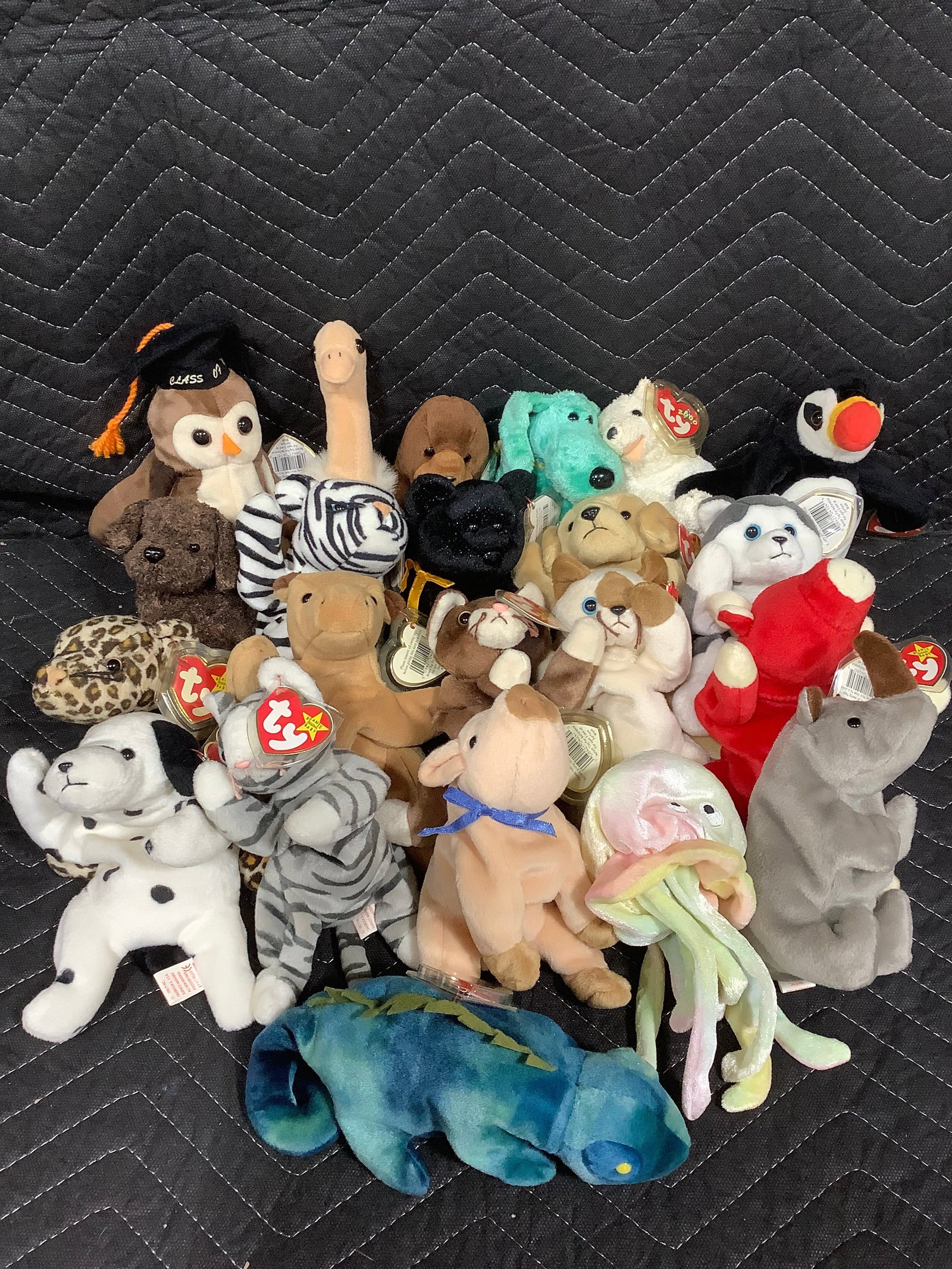 Beanie babies dolls (1 of 1)