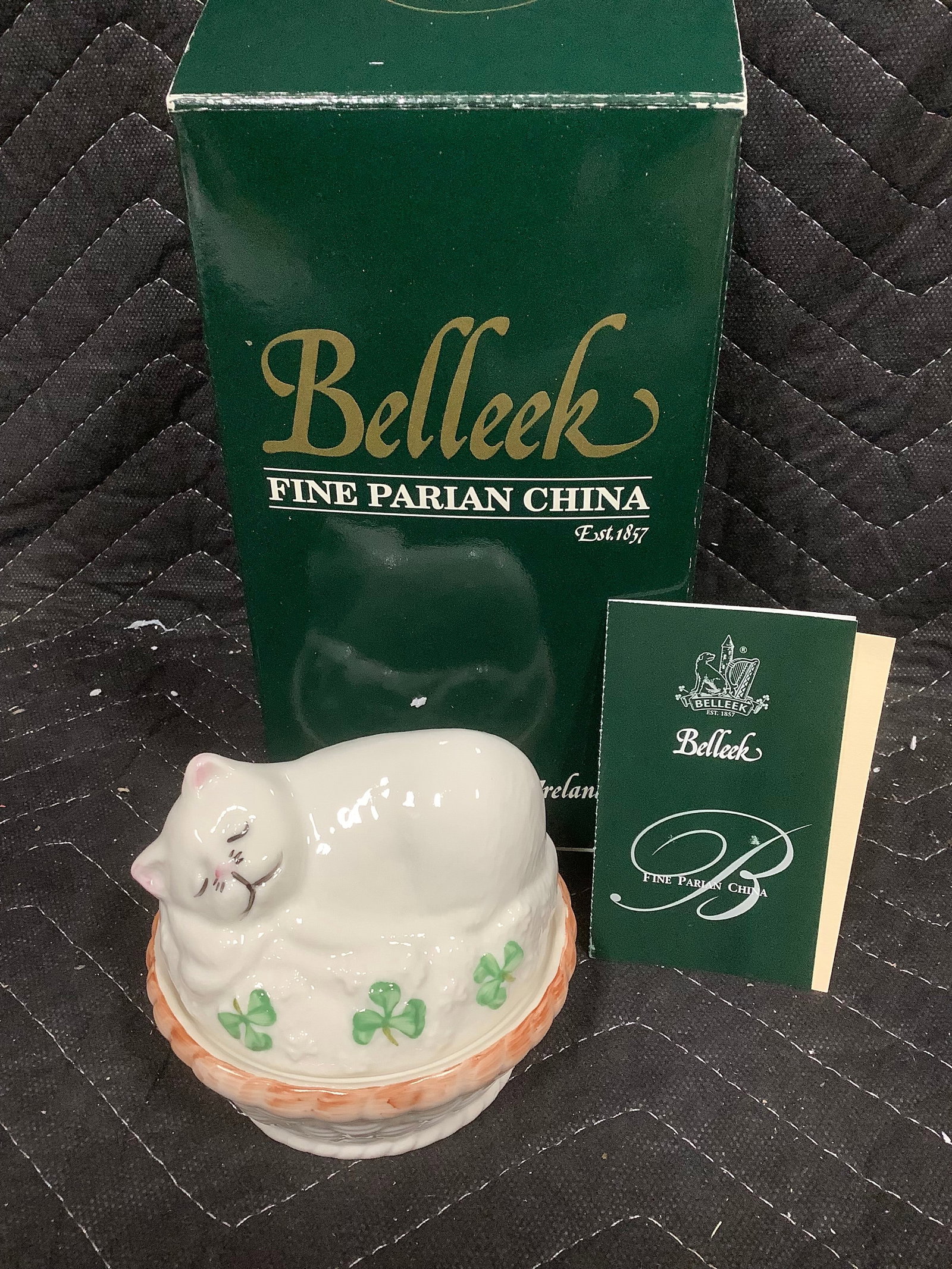 Belleek sleeping itty and shamrocks trinket box (1 of 1)